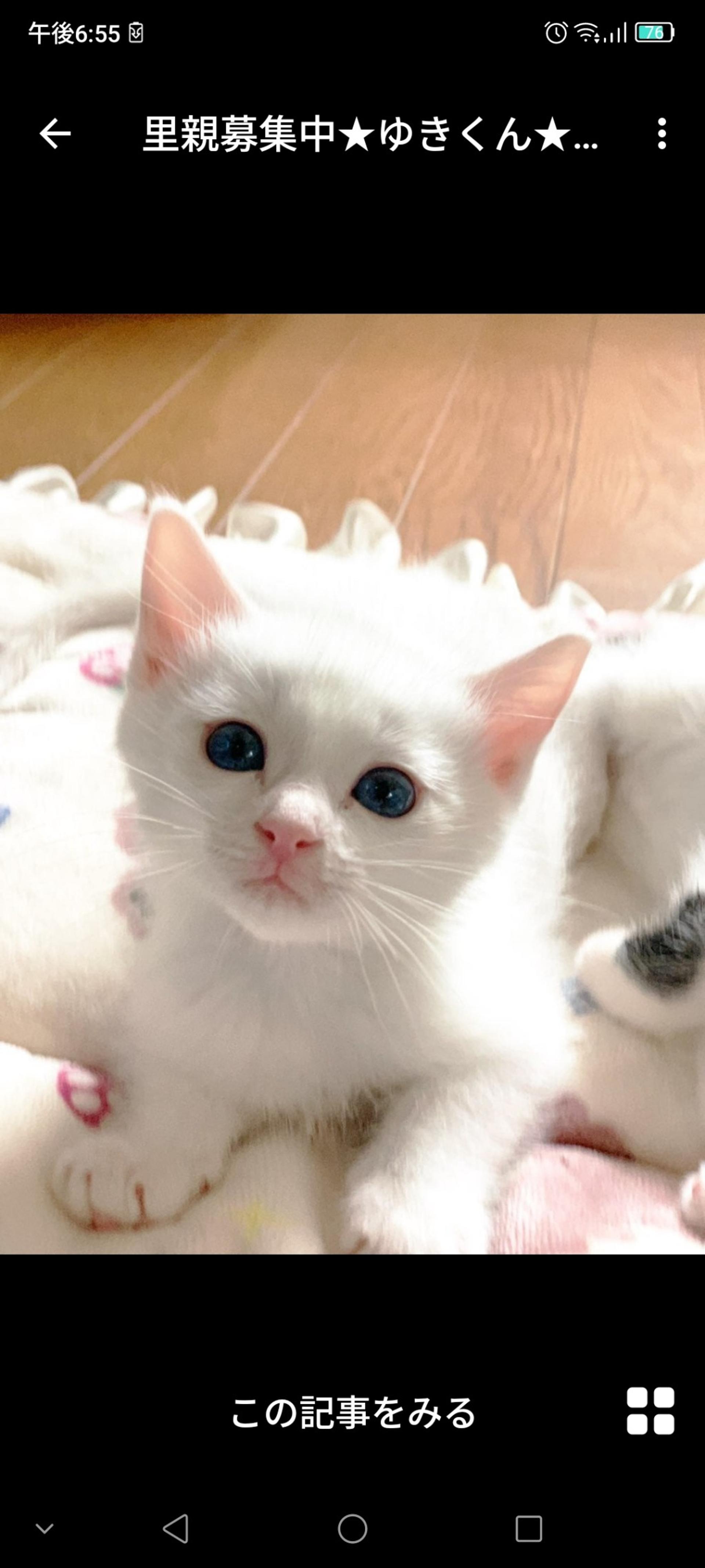 pet-image-2