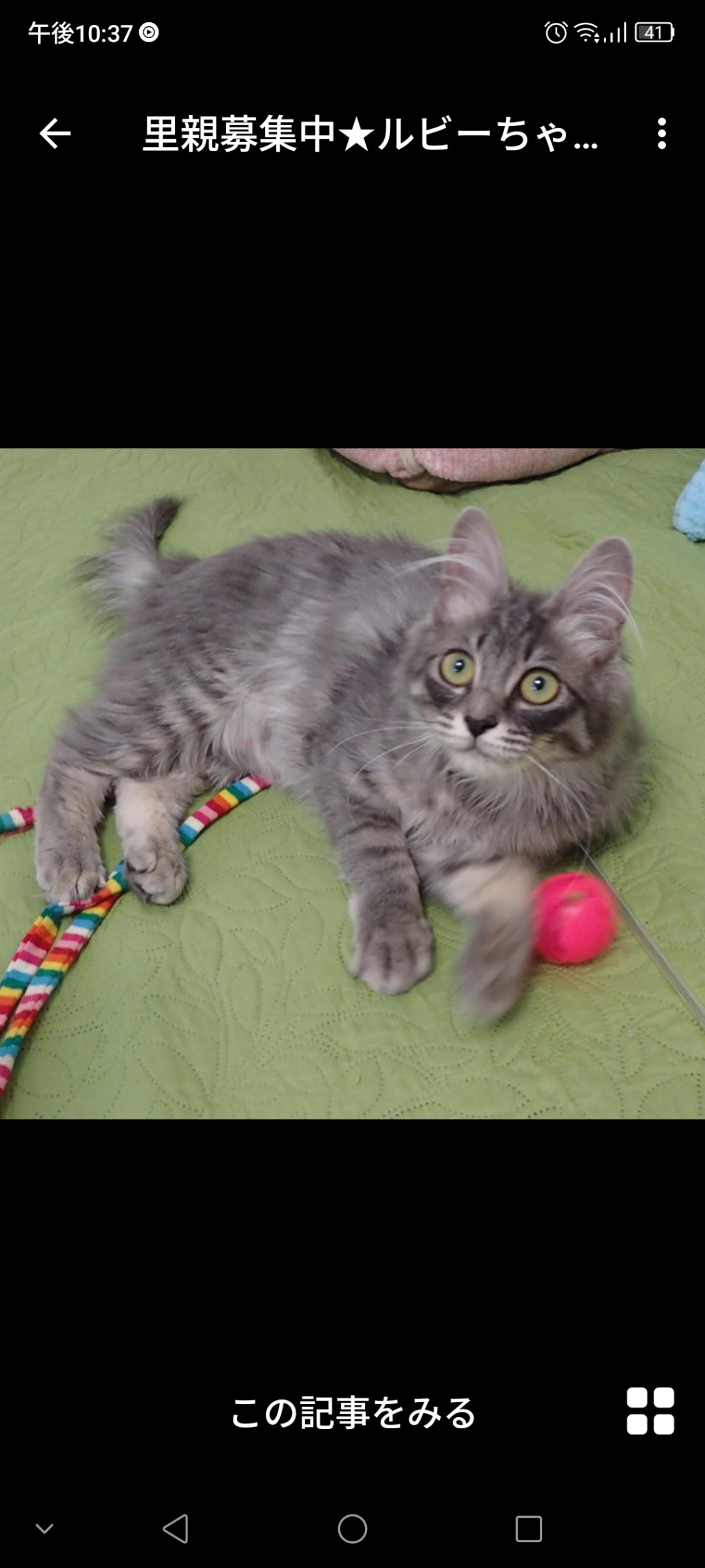 pet-image-2