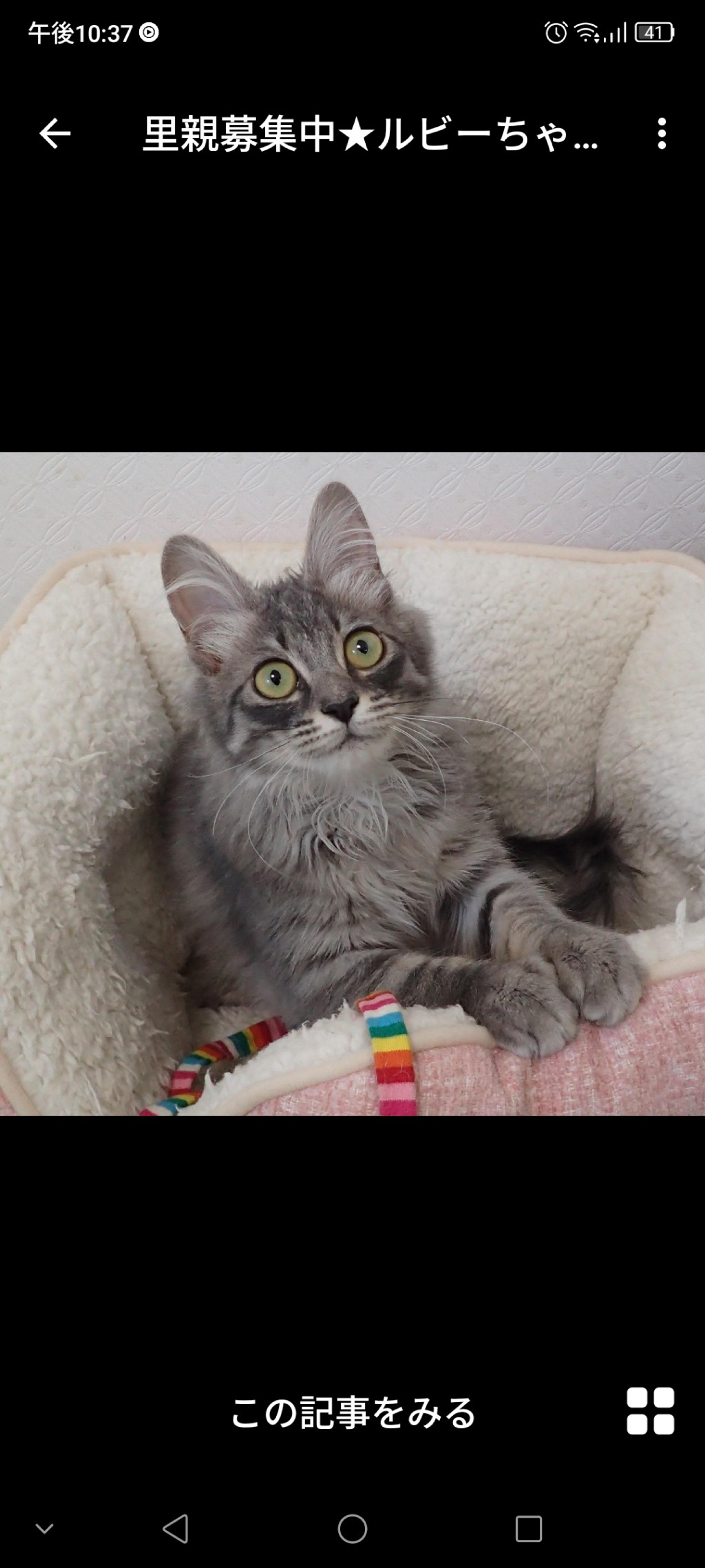 pet-image-3