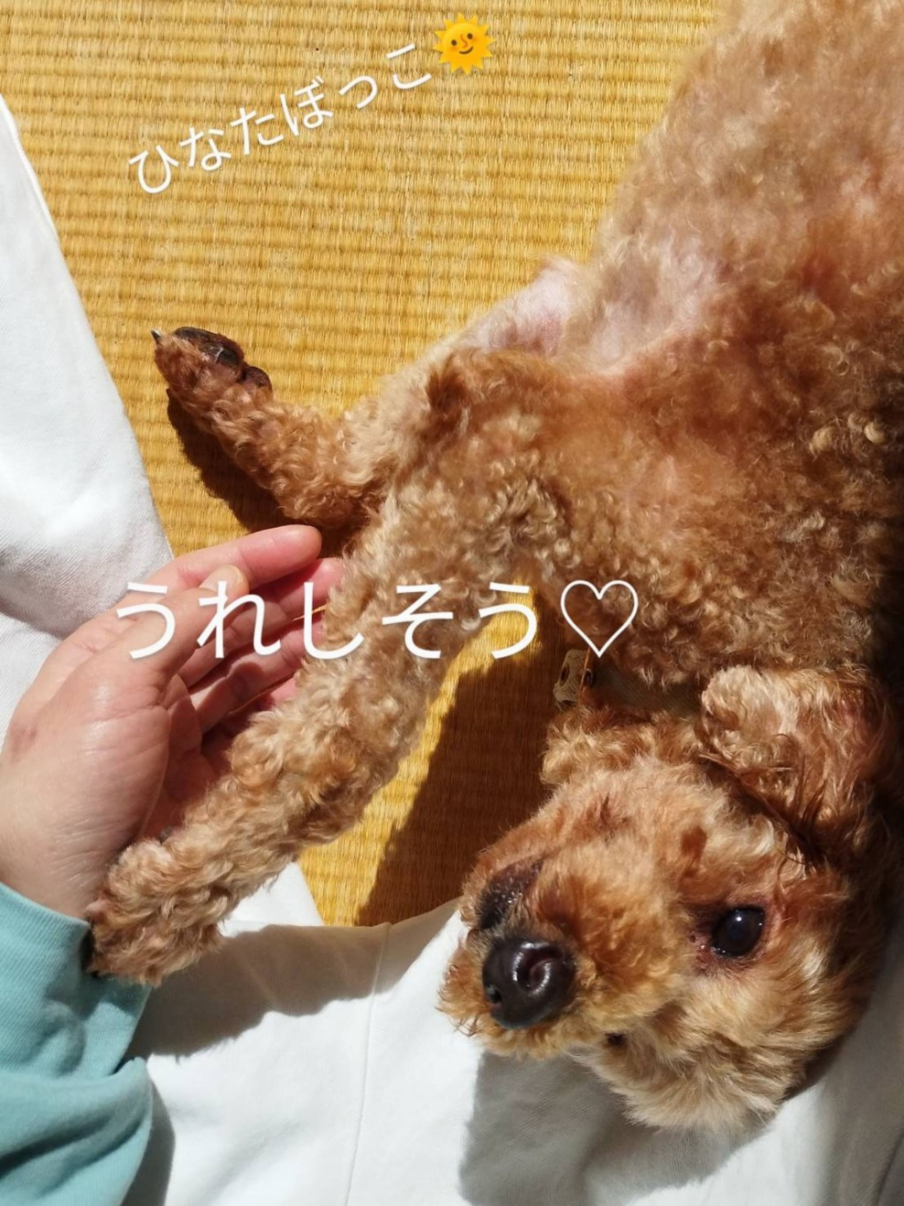 image-8