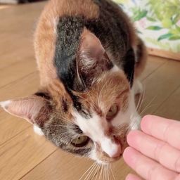 thumb-5