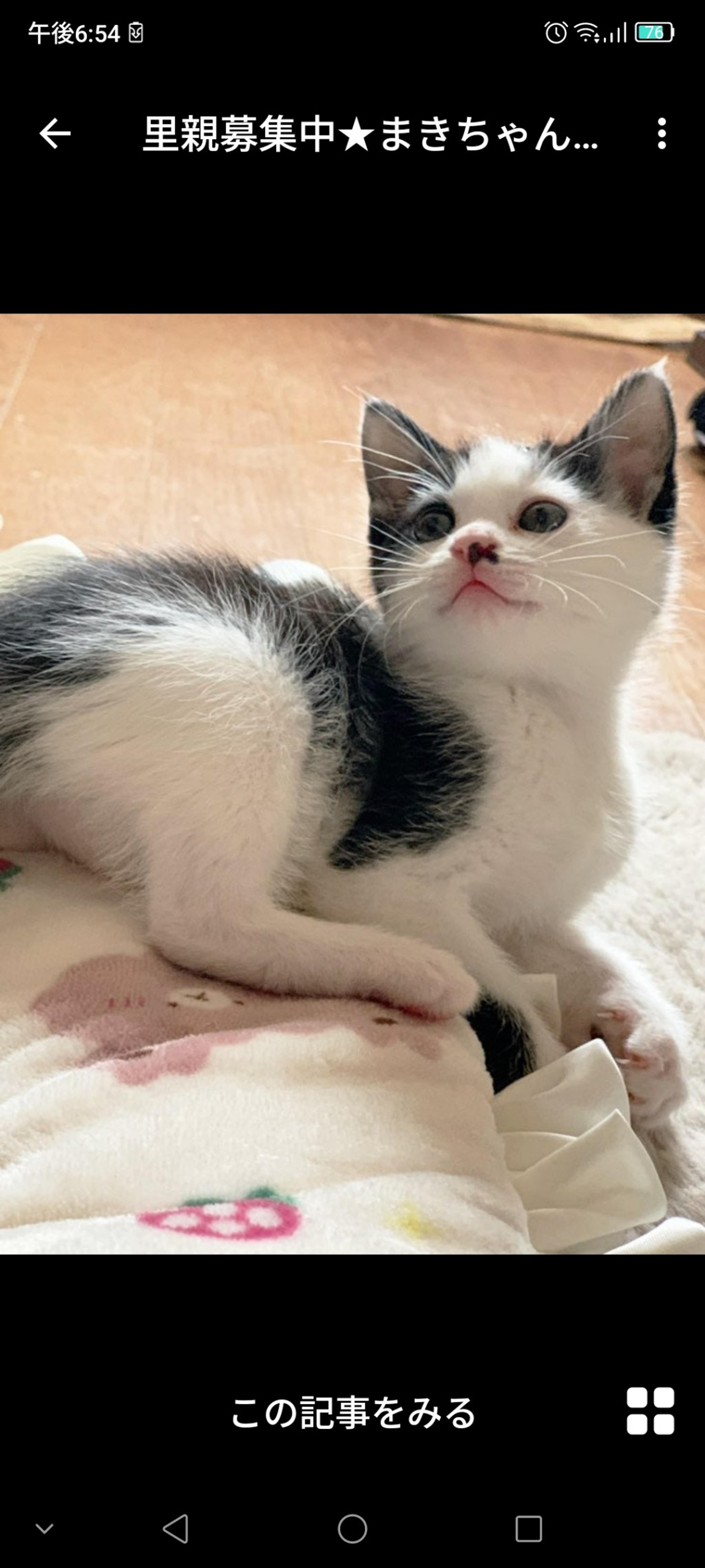 pet-image-2