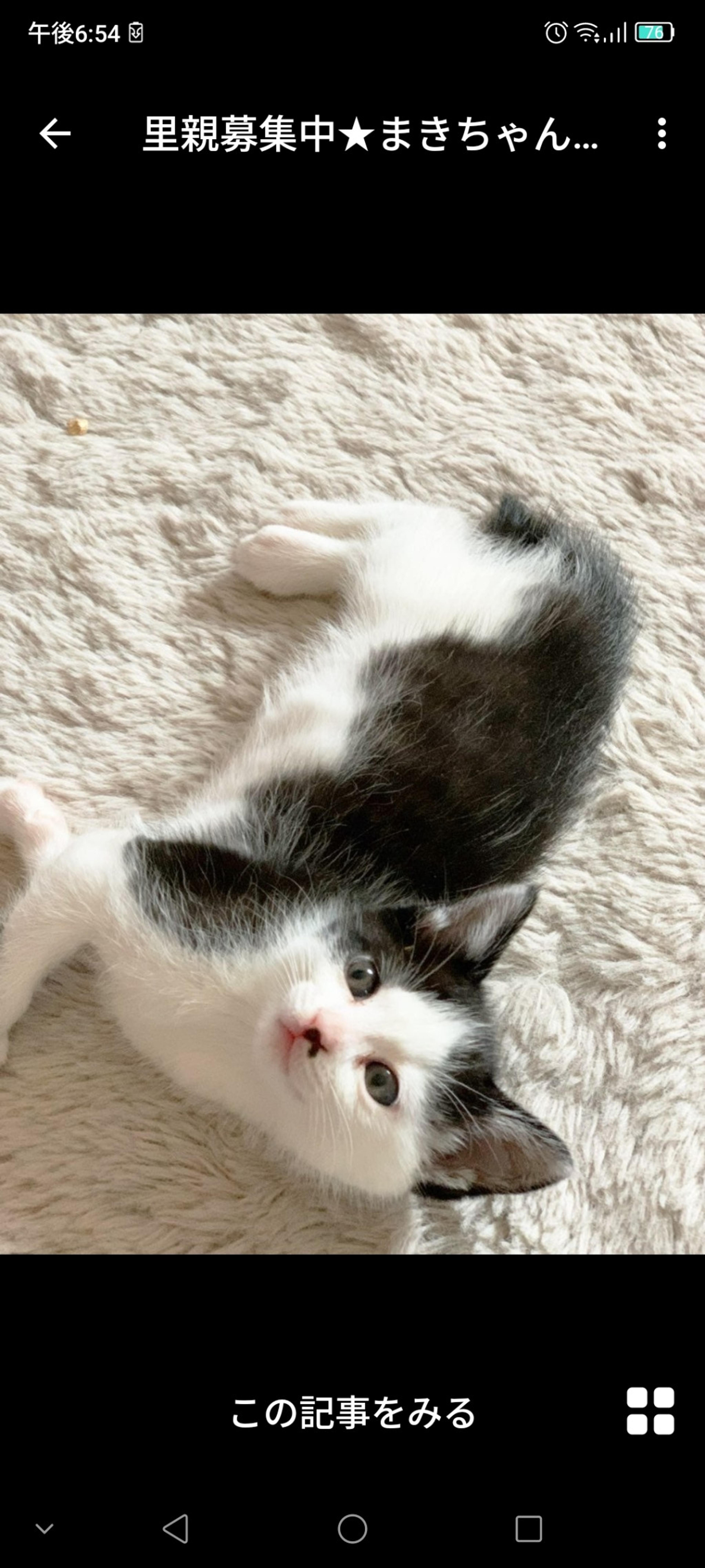 pet-image-3