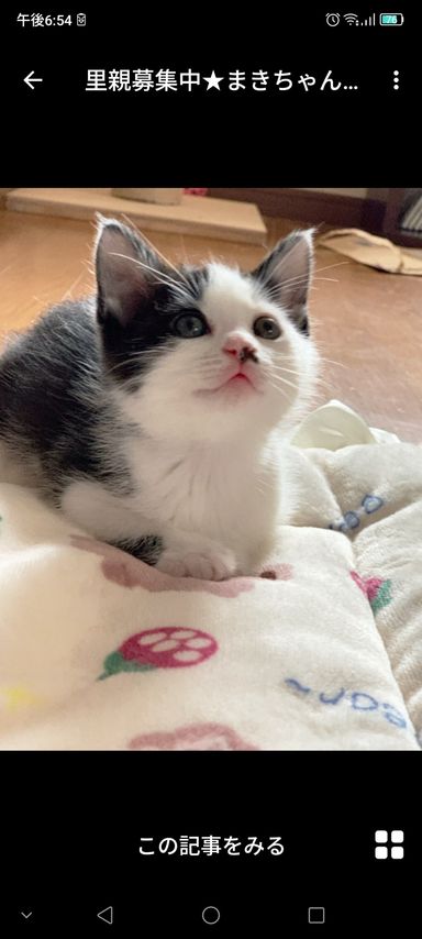 まきちゃん
