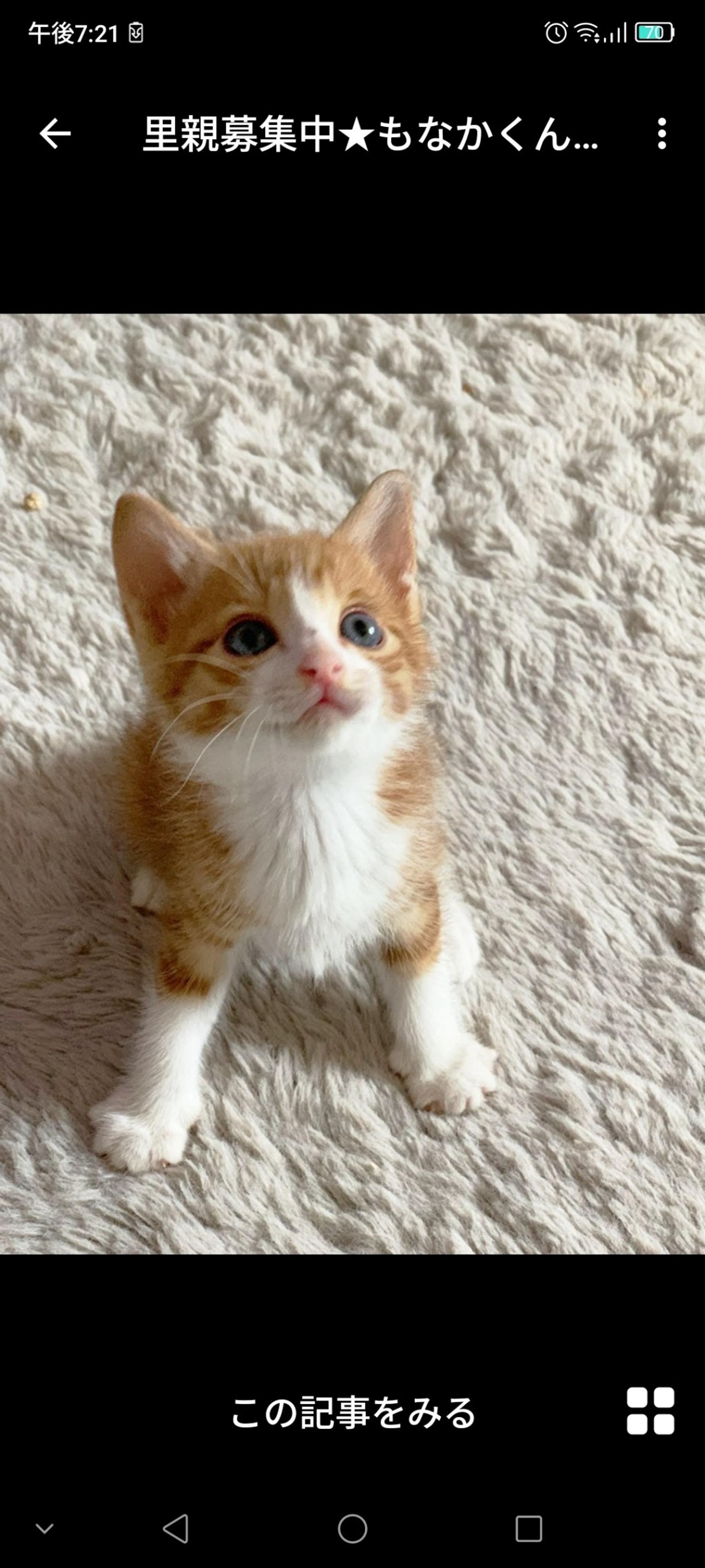 pet-image-2