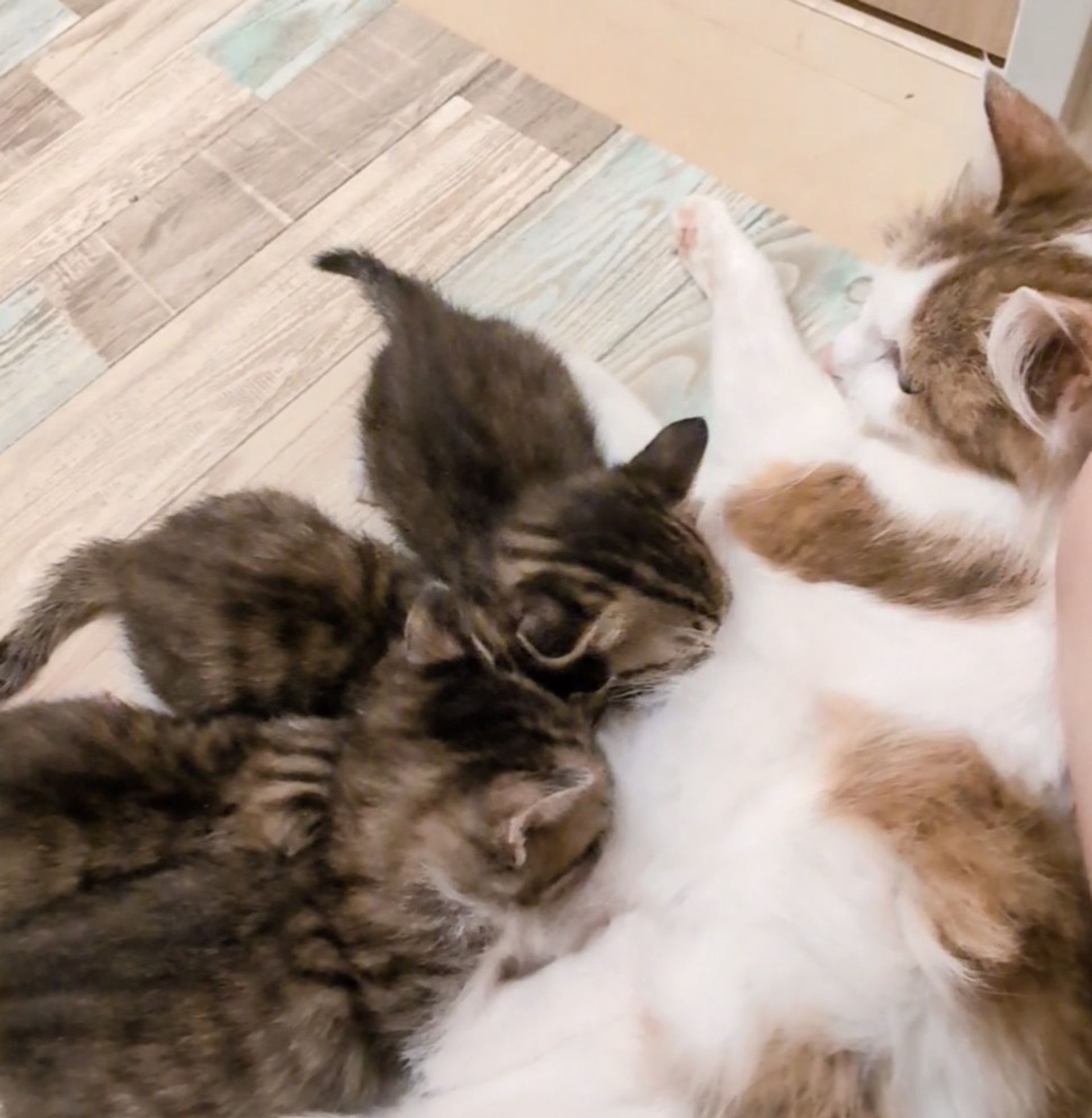 thumbnail-3