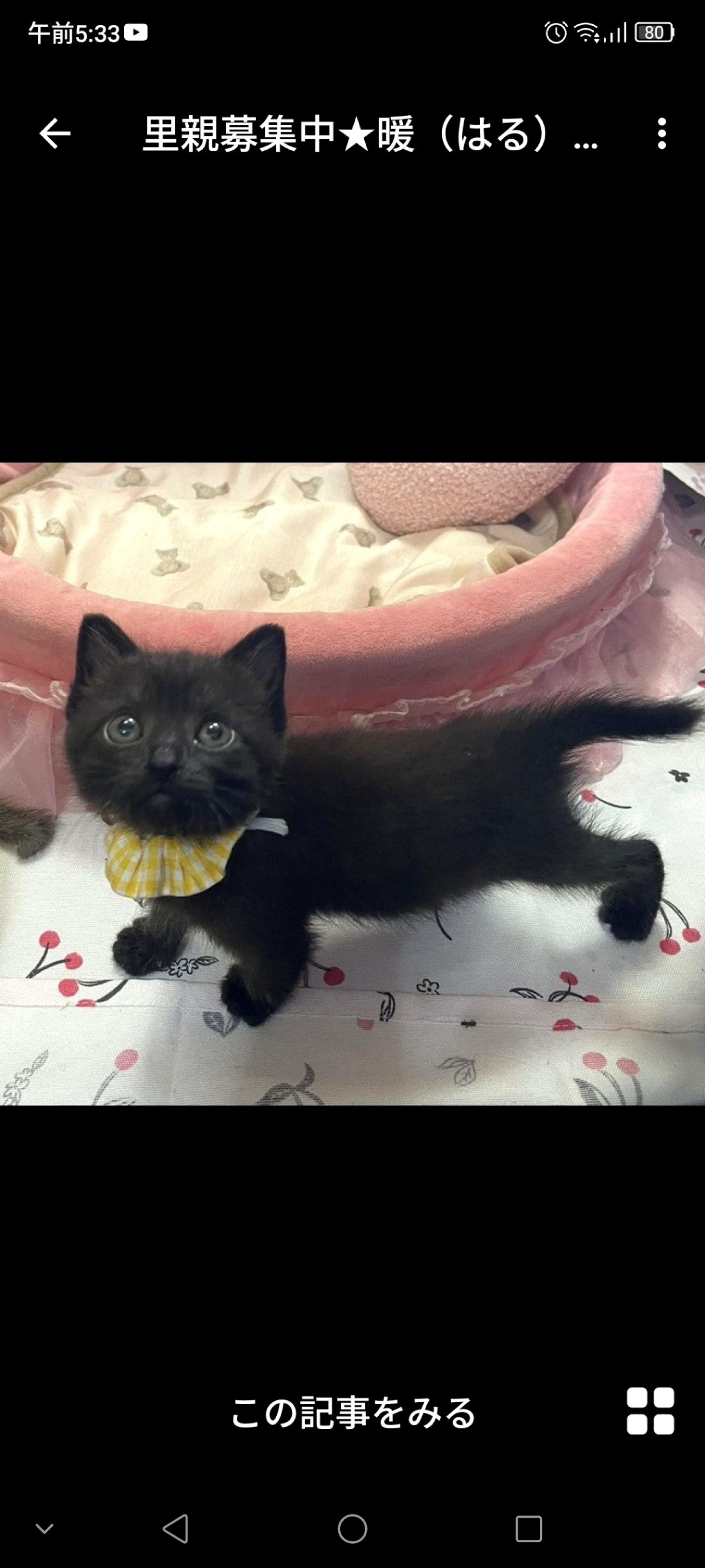 pet-image-3