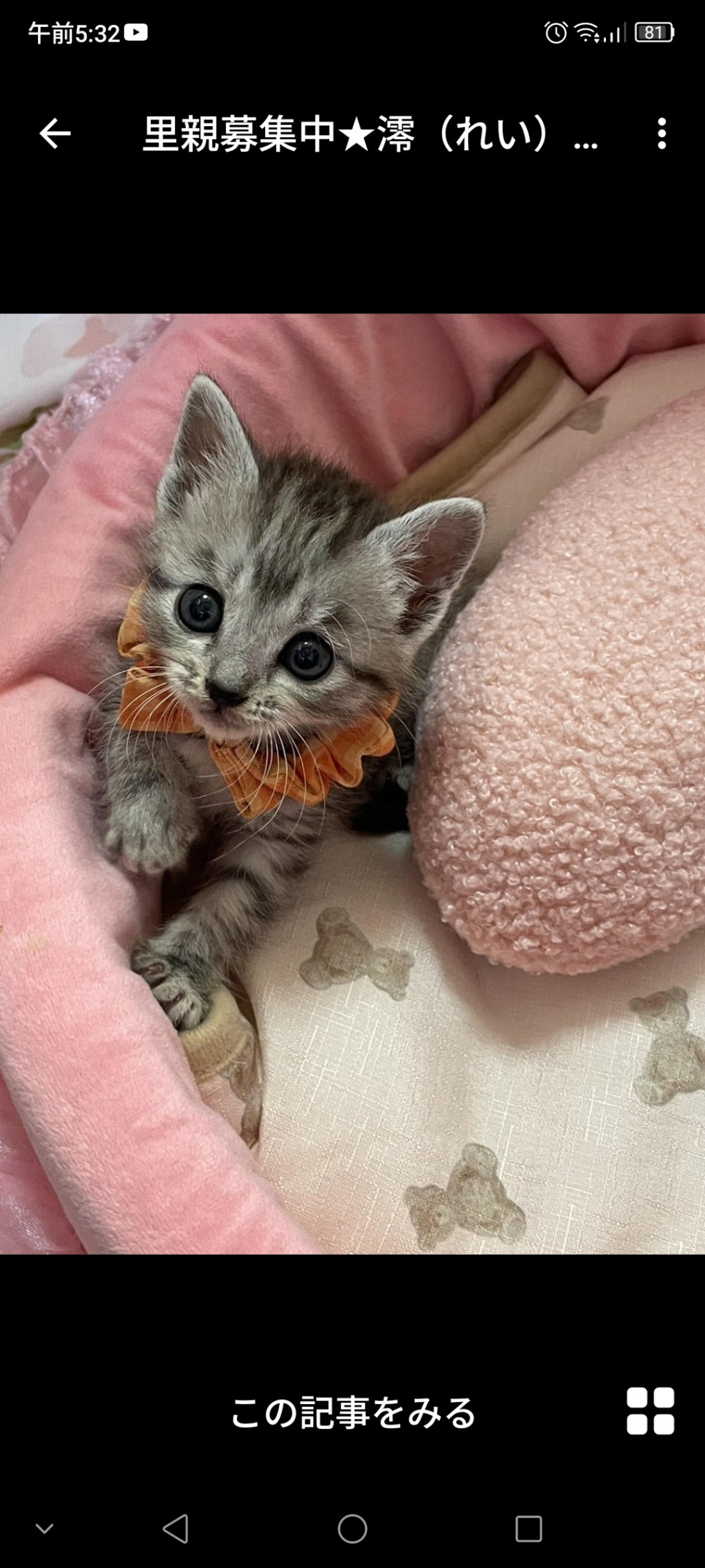 pet-image-3