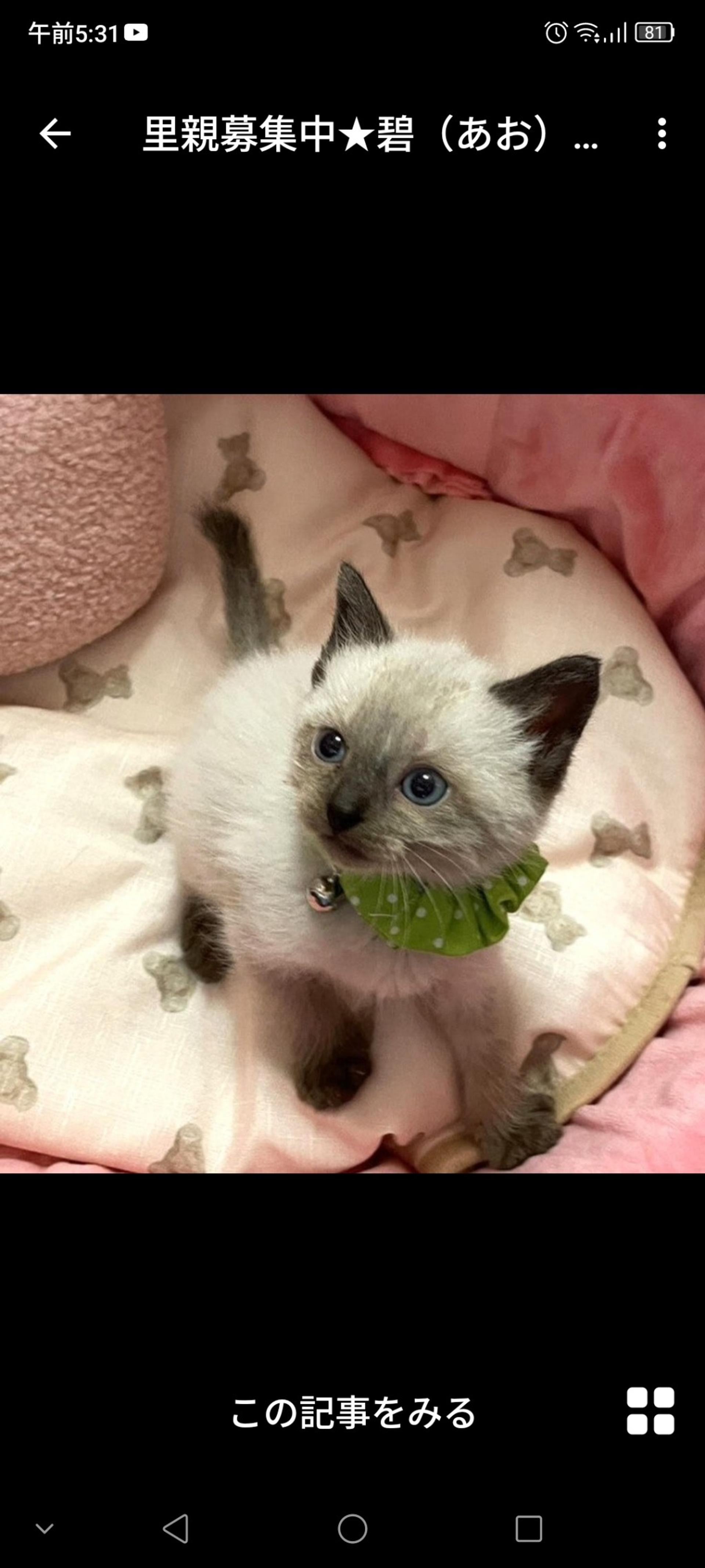 pet-image-3