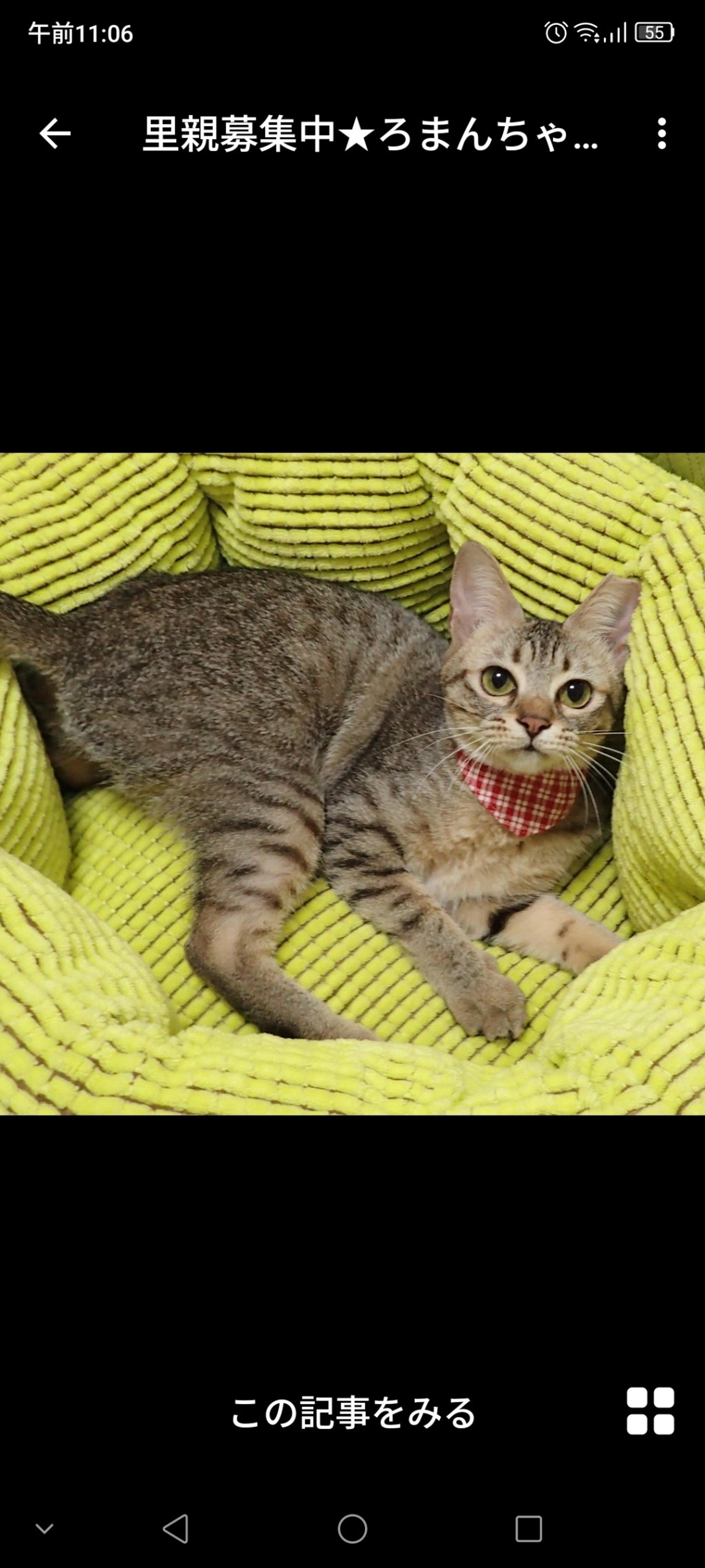 pet-image-3