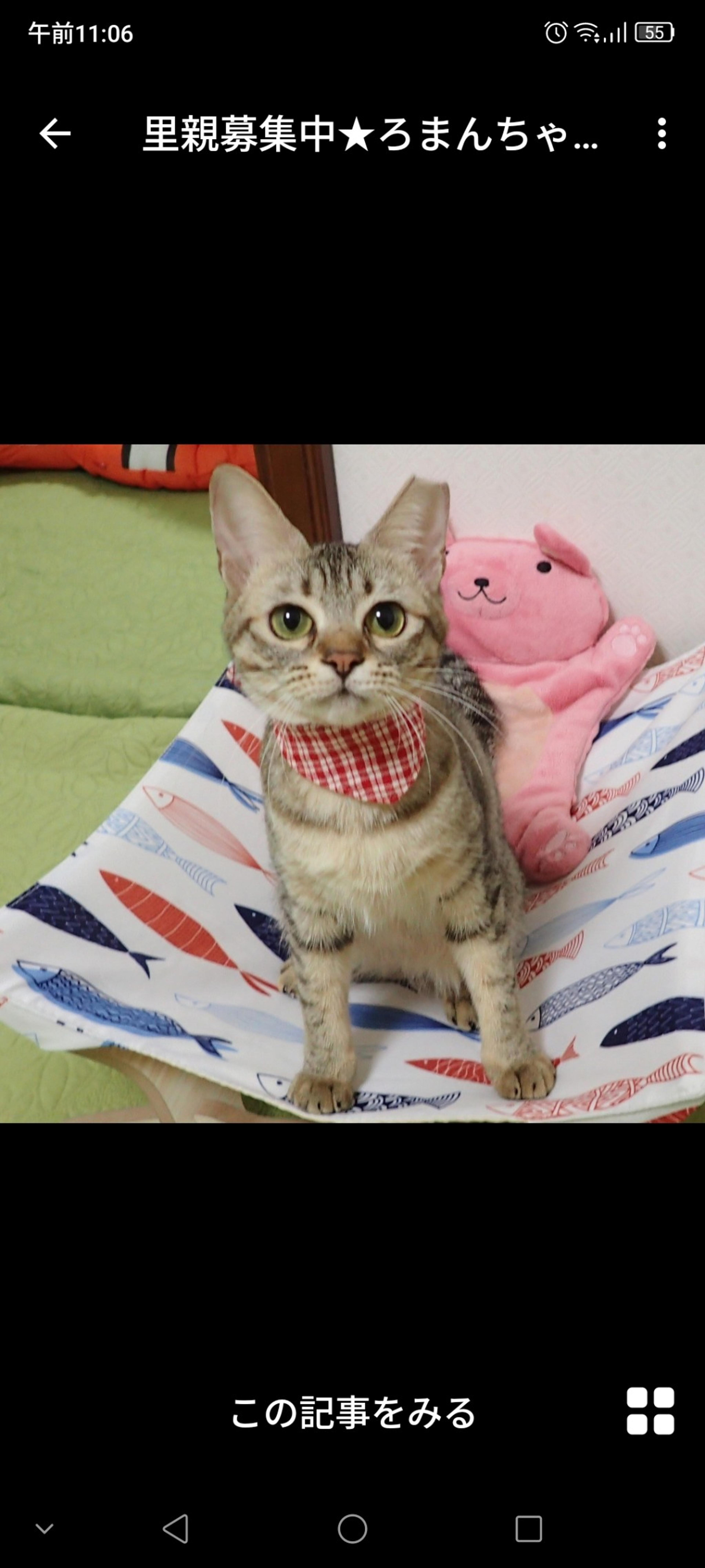 pet-image-2