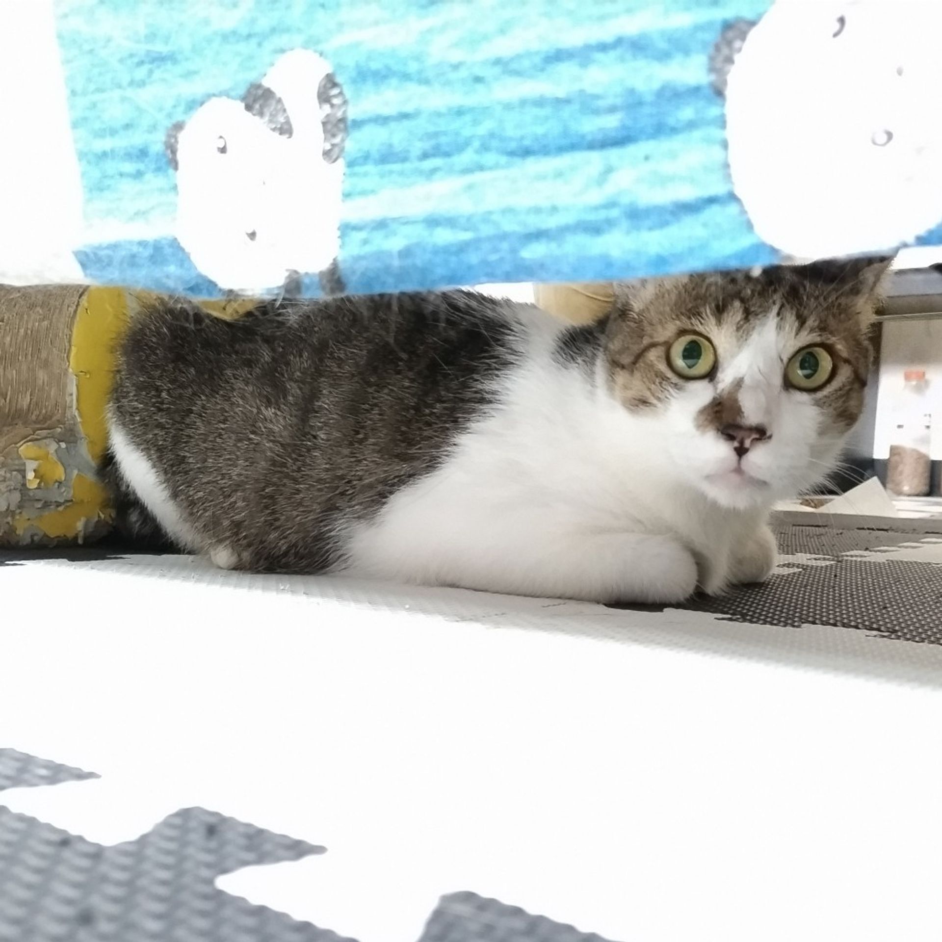thumbnail-6