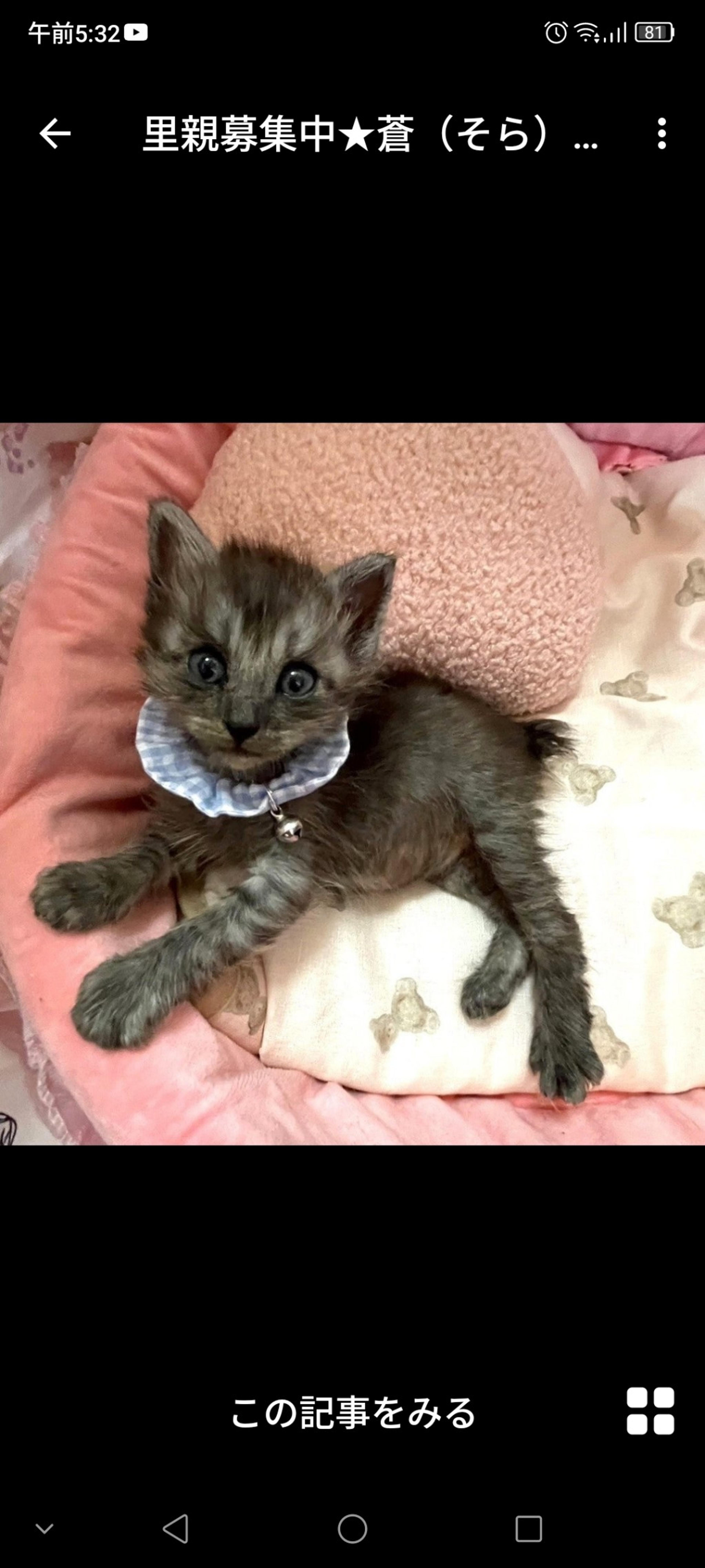 pet-image-2