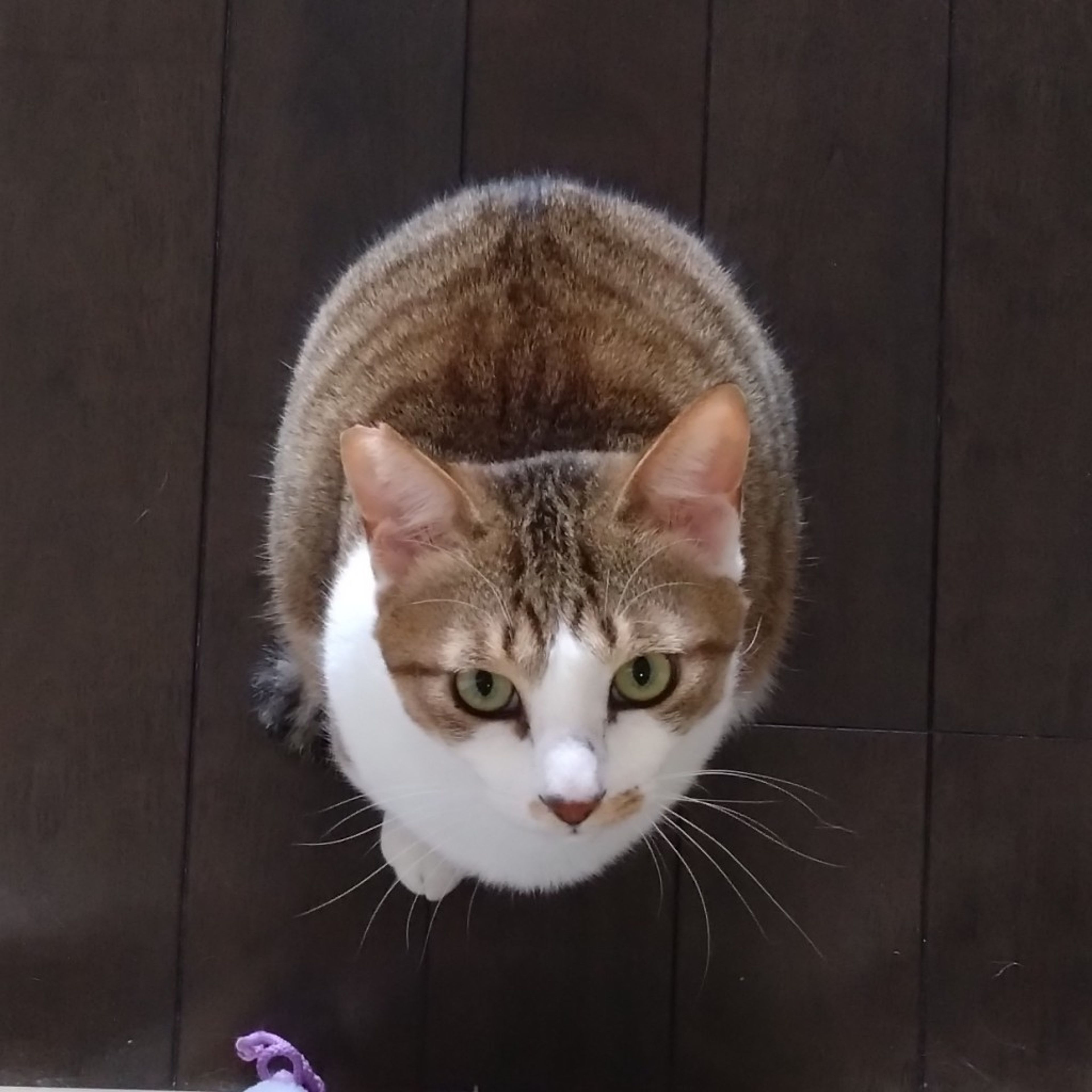 image-6