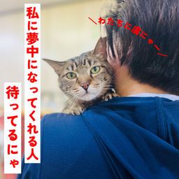 thumb-5