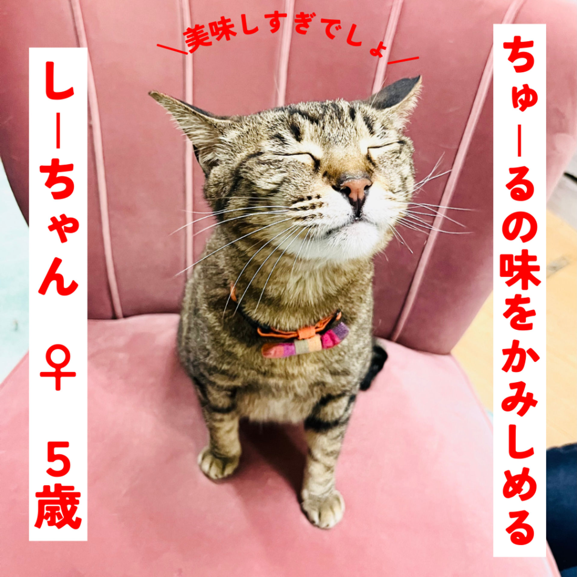 thumbnail-7
