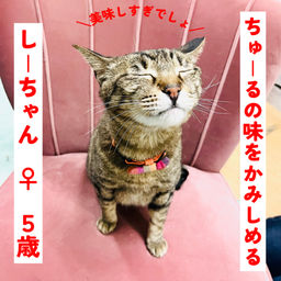 thumb-6