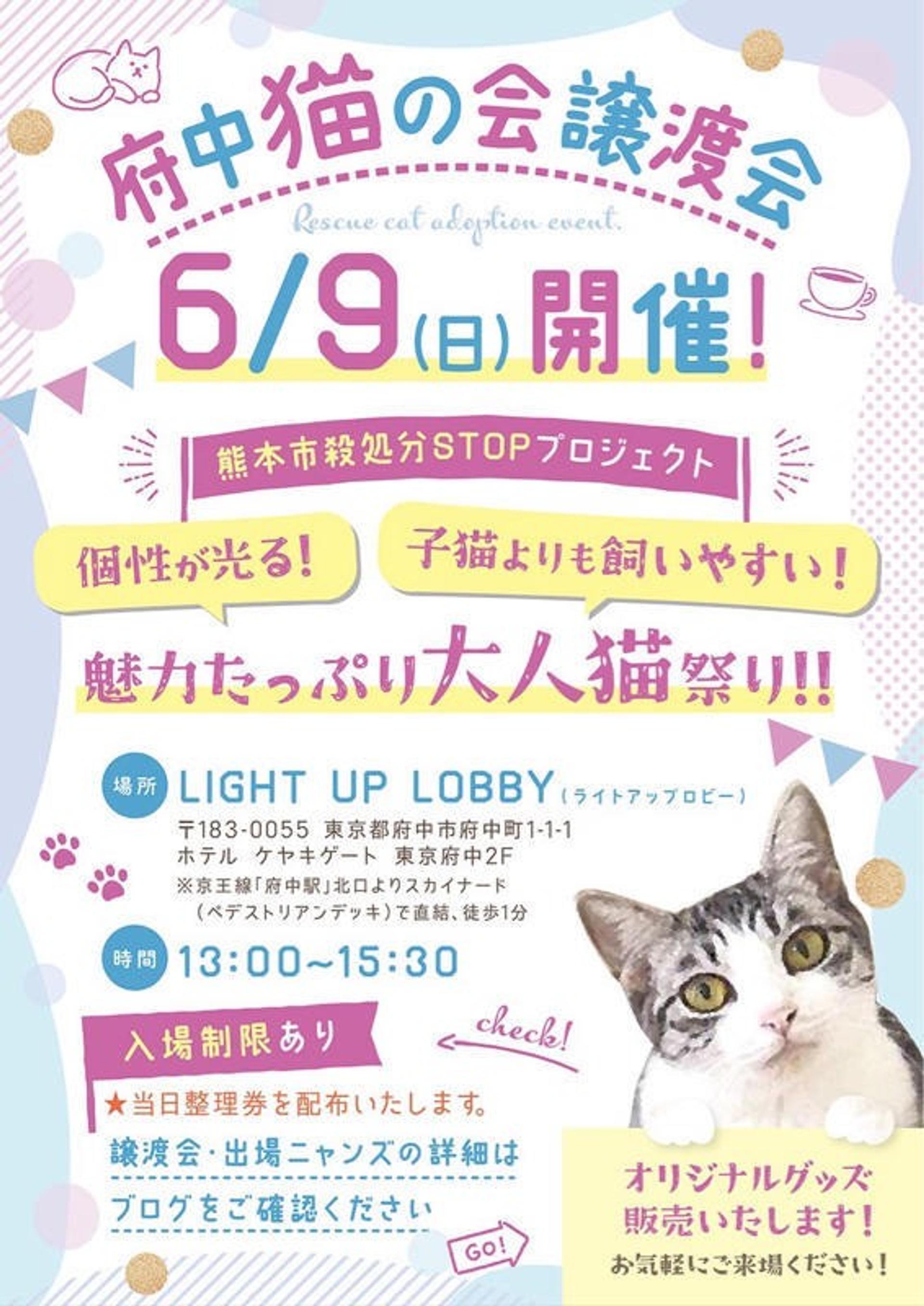 pet-image-5