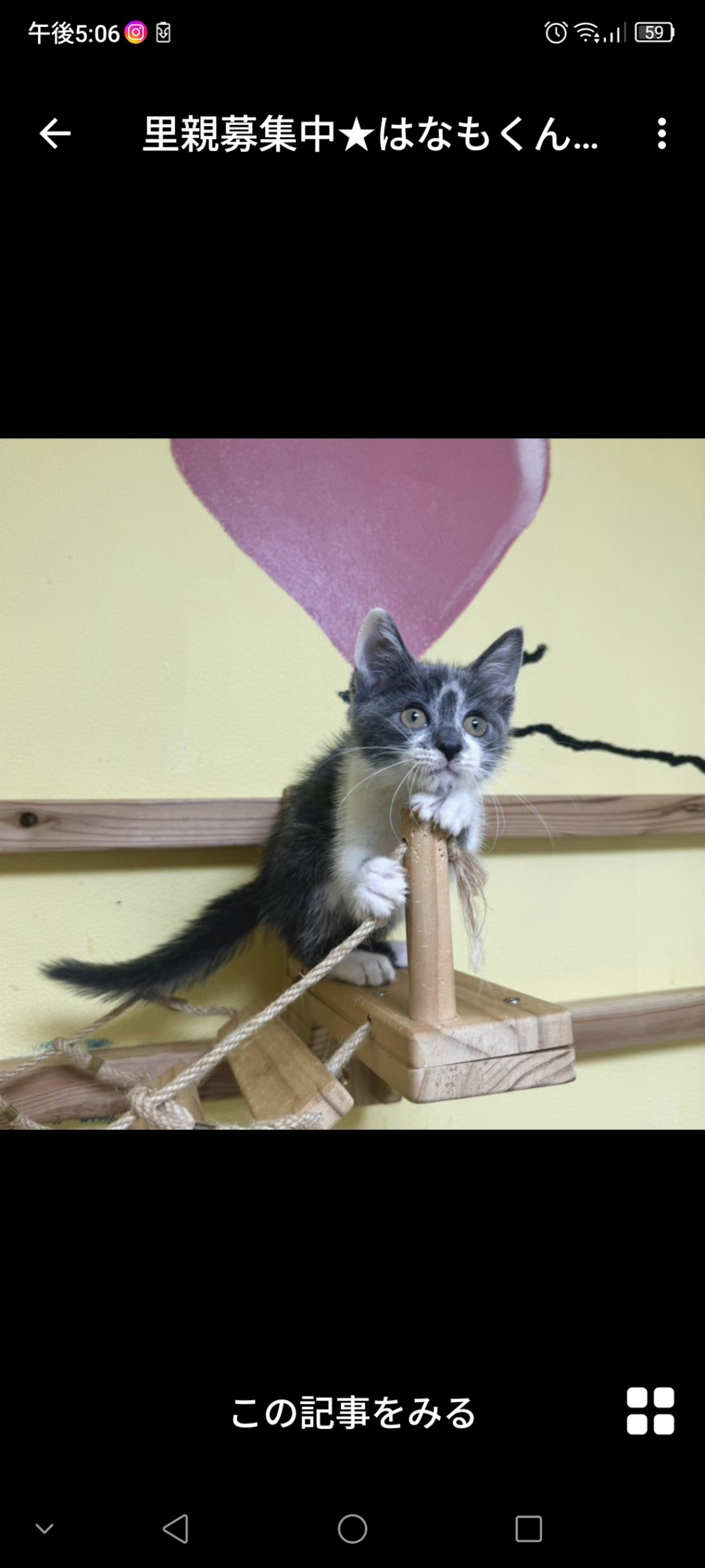 pet-image-2