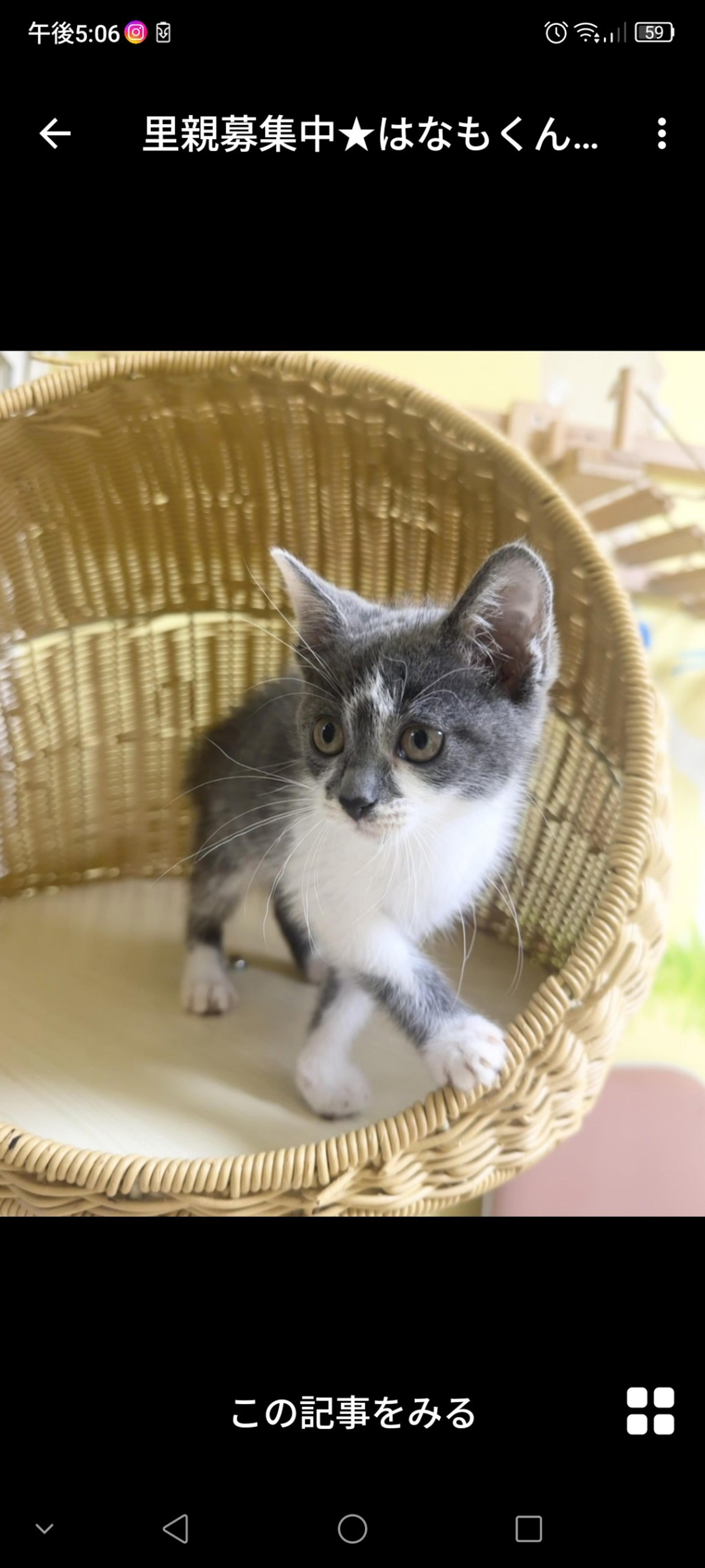pet-image-3