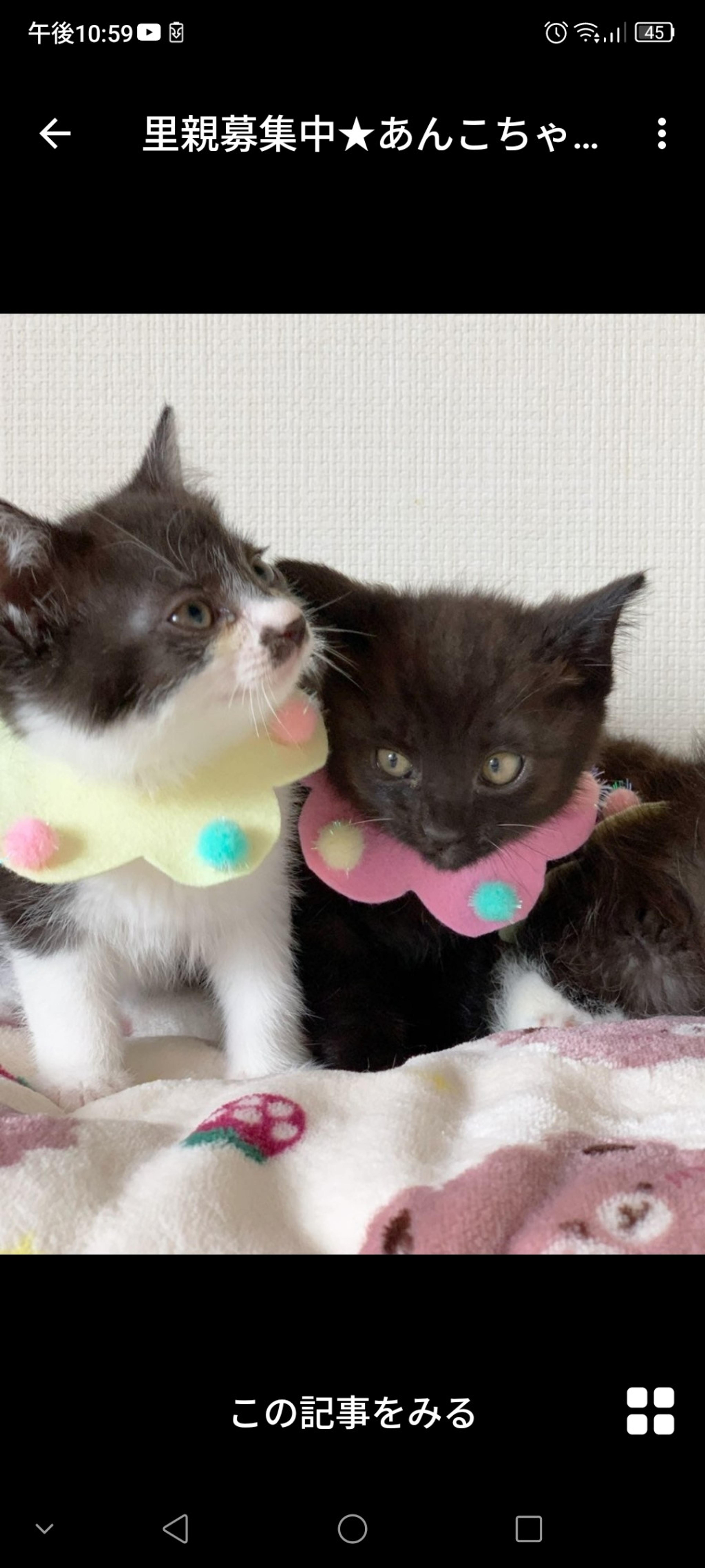 pet-image-3