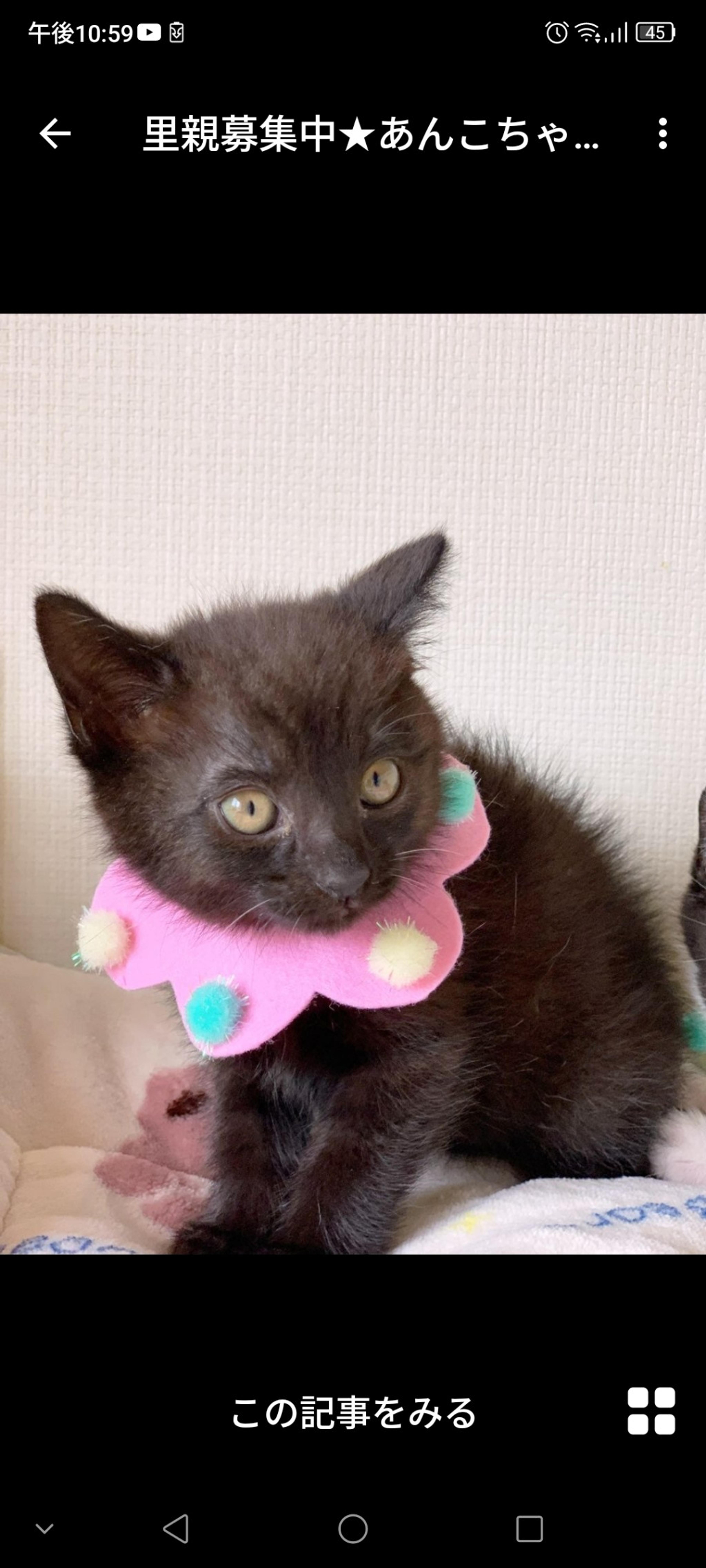 pet-image-2