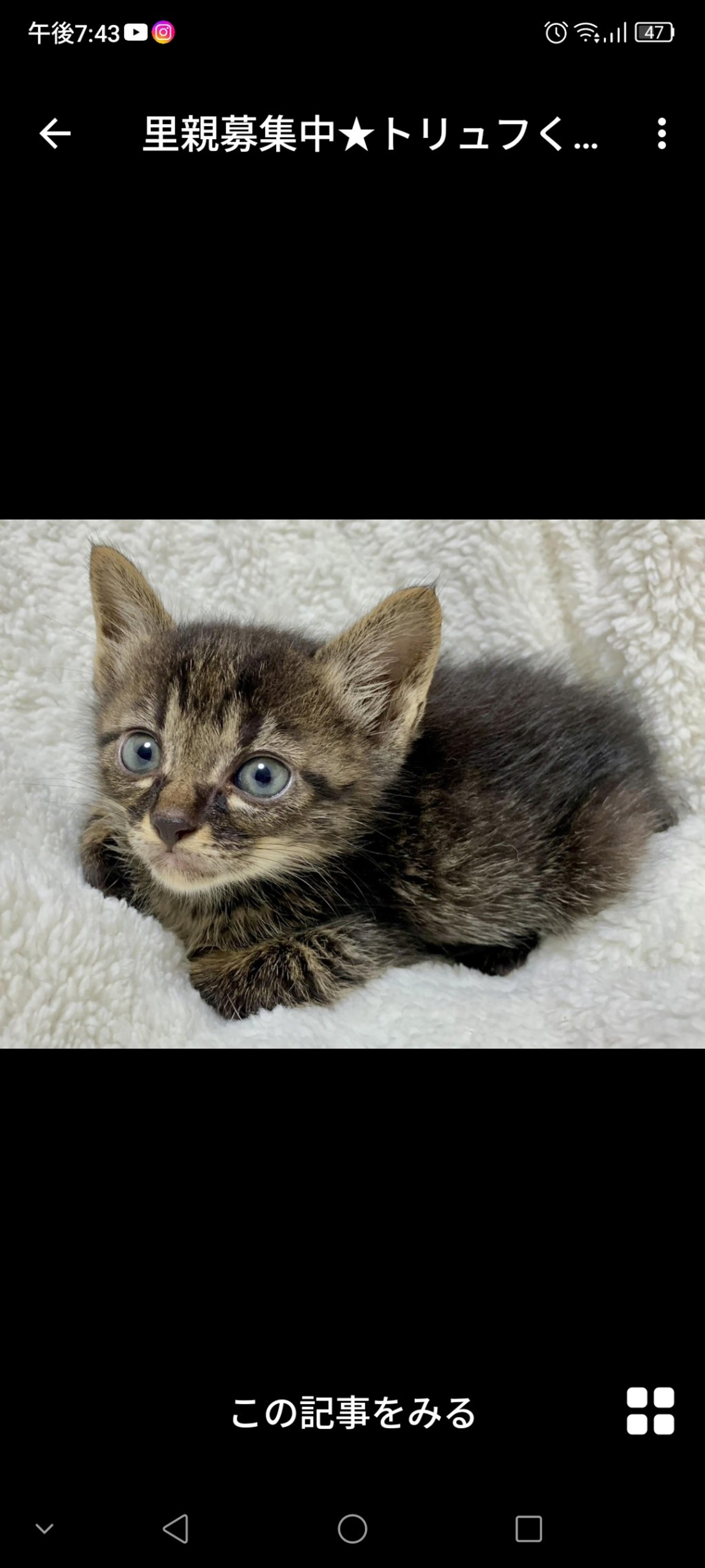pet-image-3