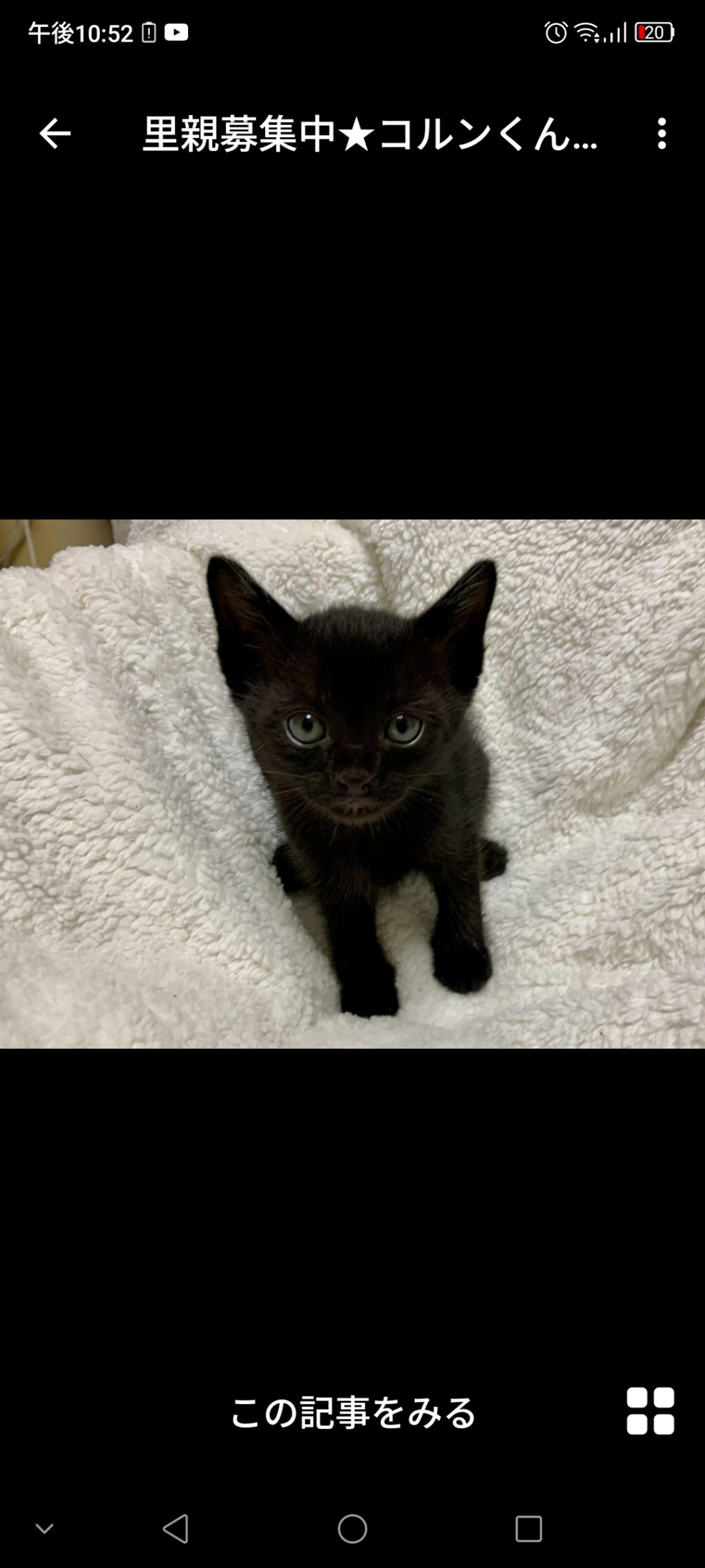 pet-image-3