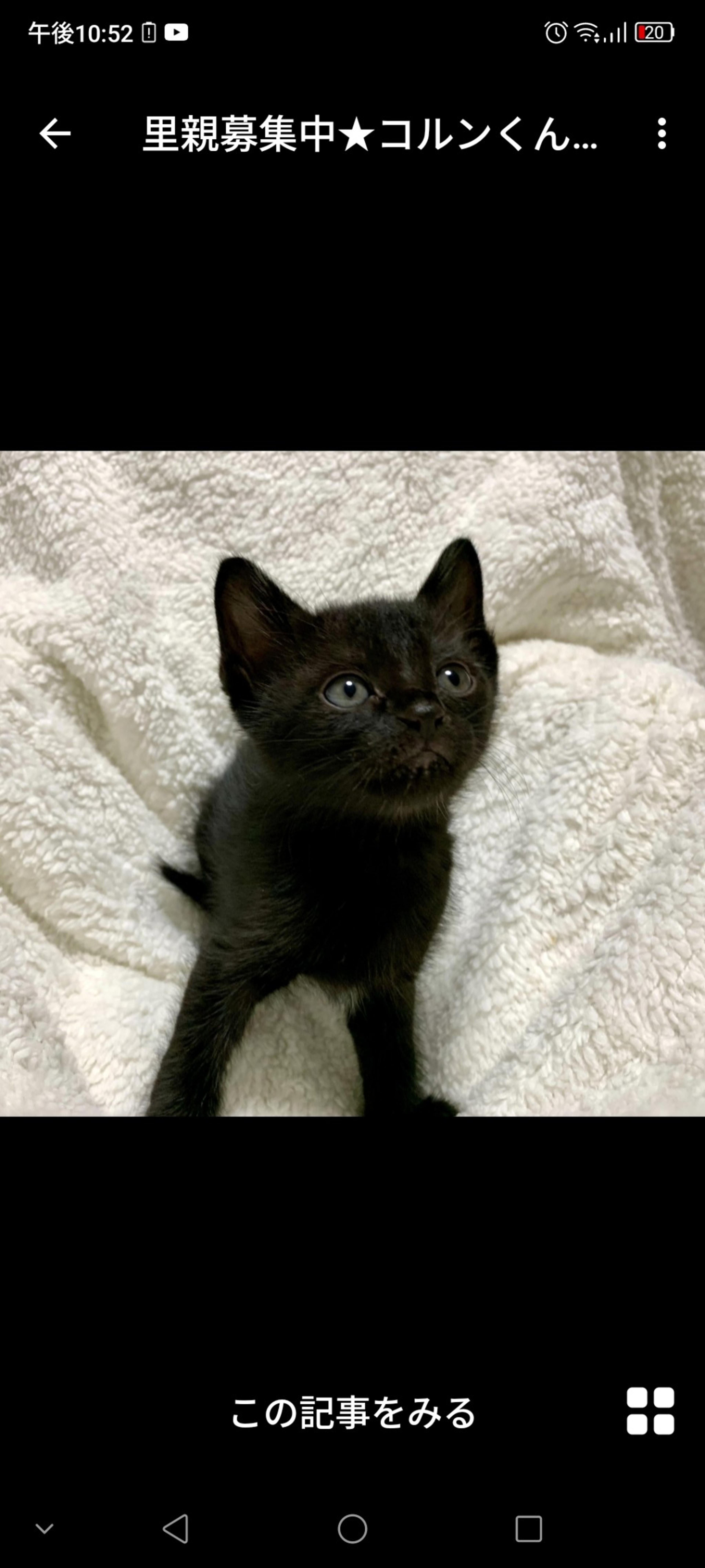 pet-image-2