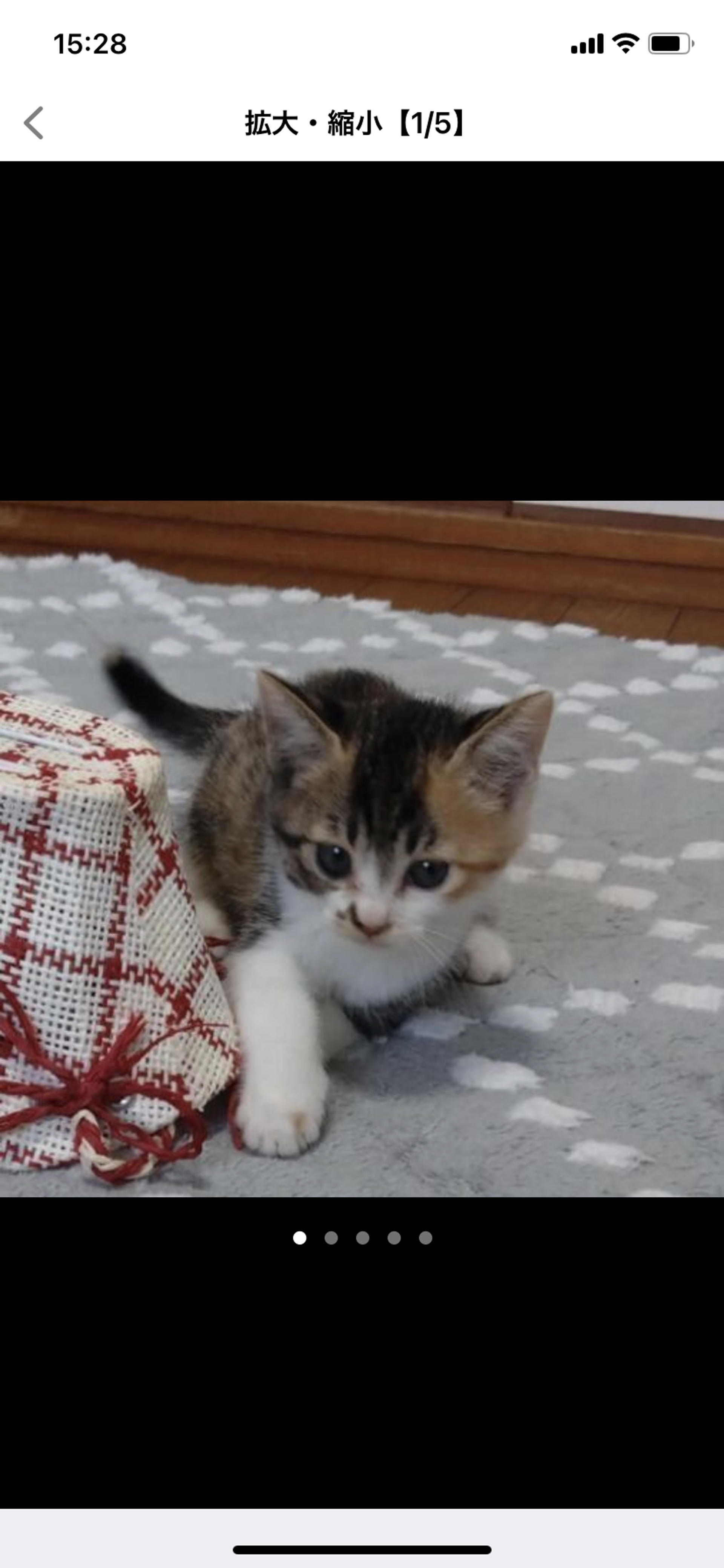 pet-image-2