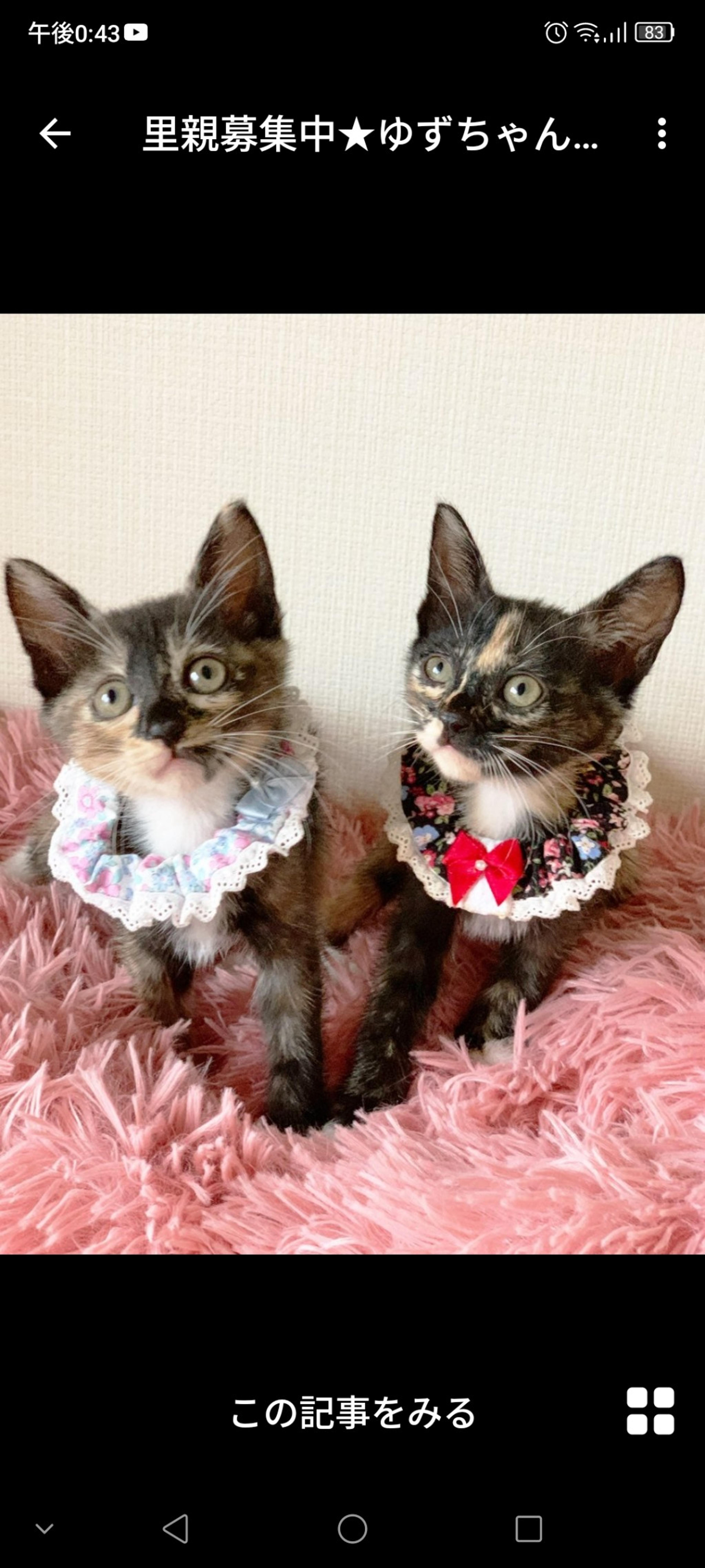 pet-image-3