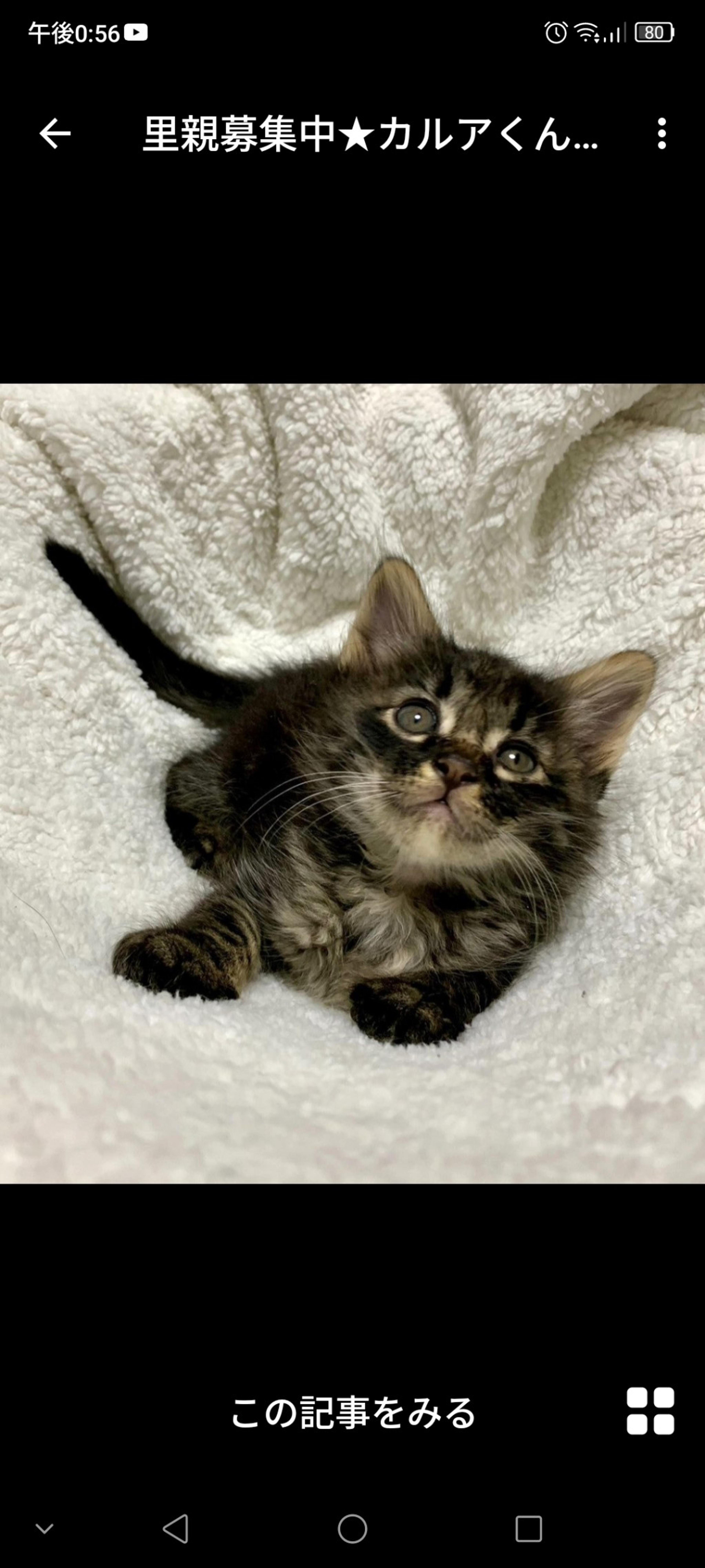 pet-image-2