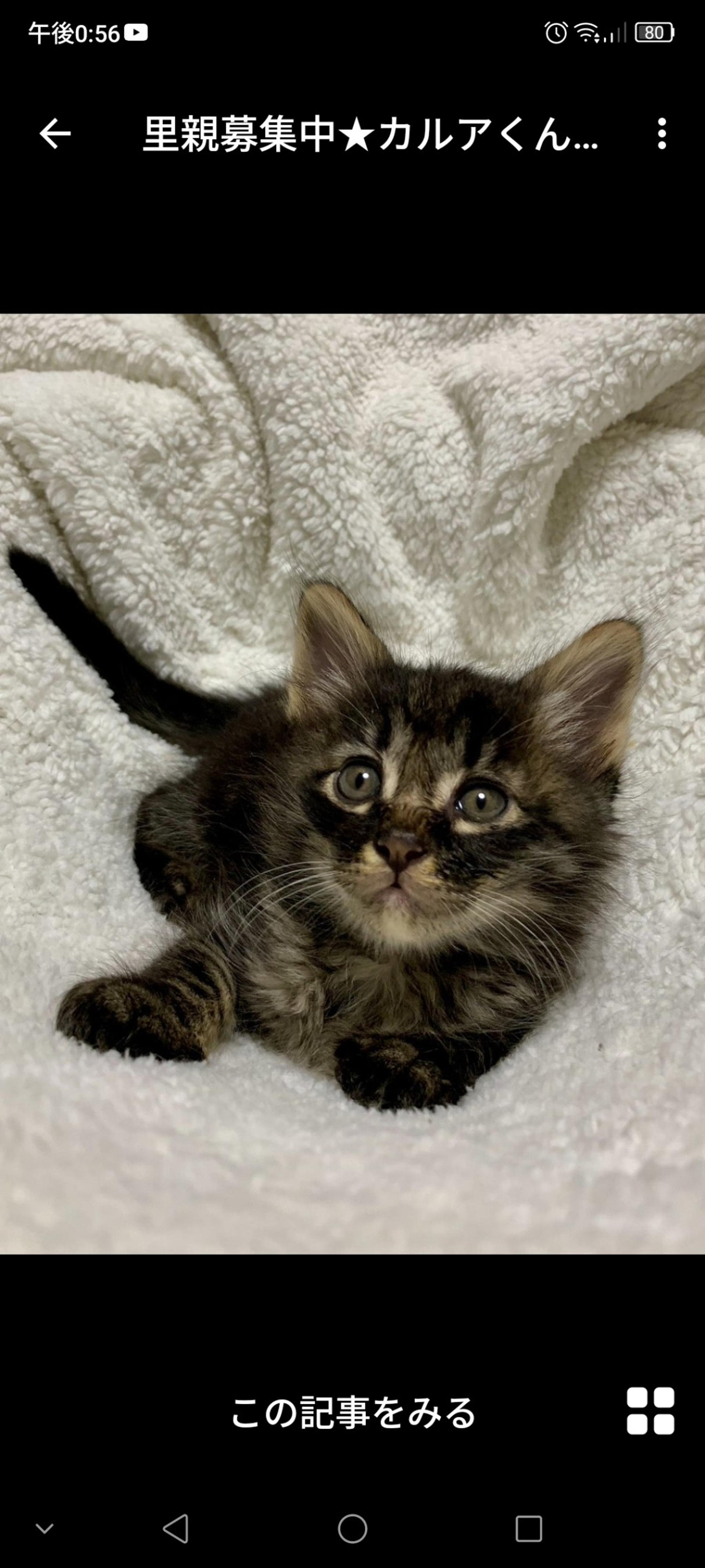 pet-image-3