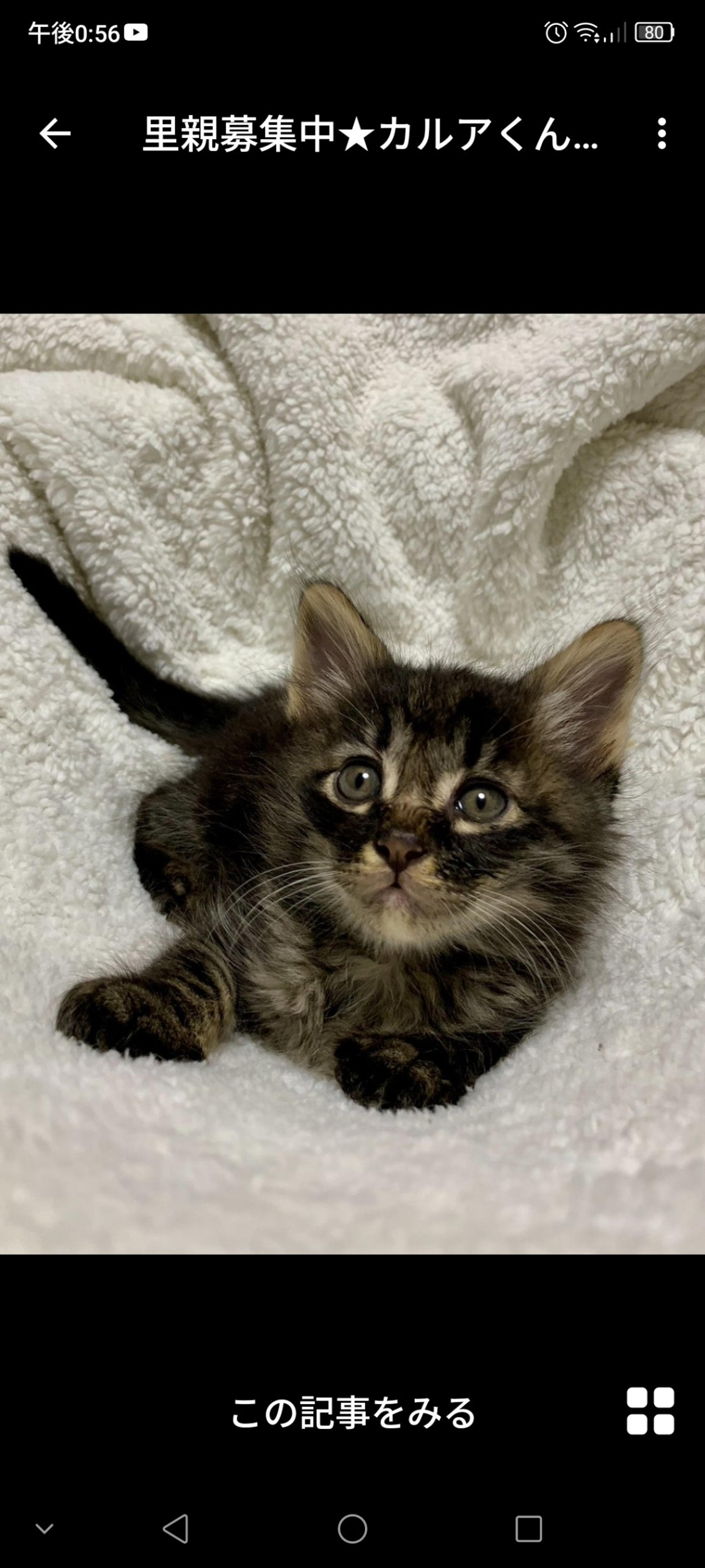 pet-image-3
