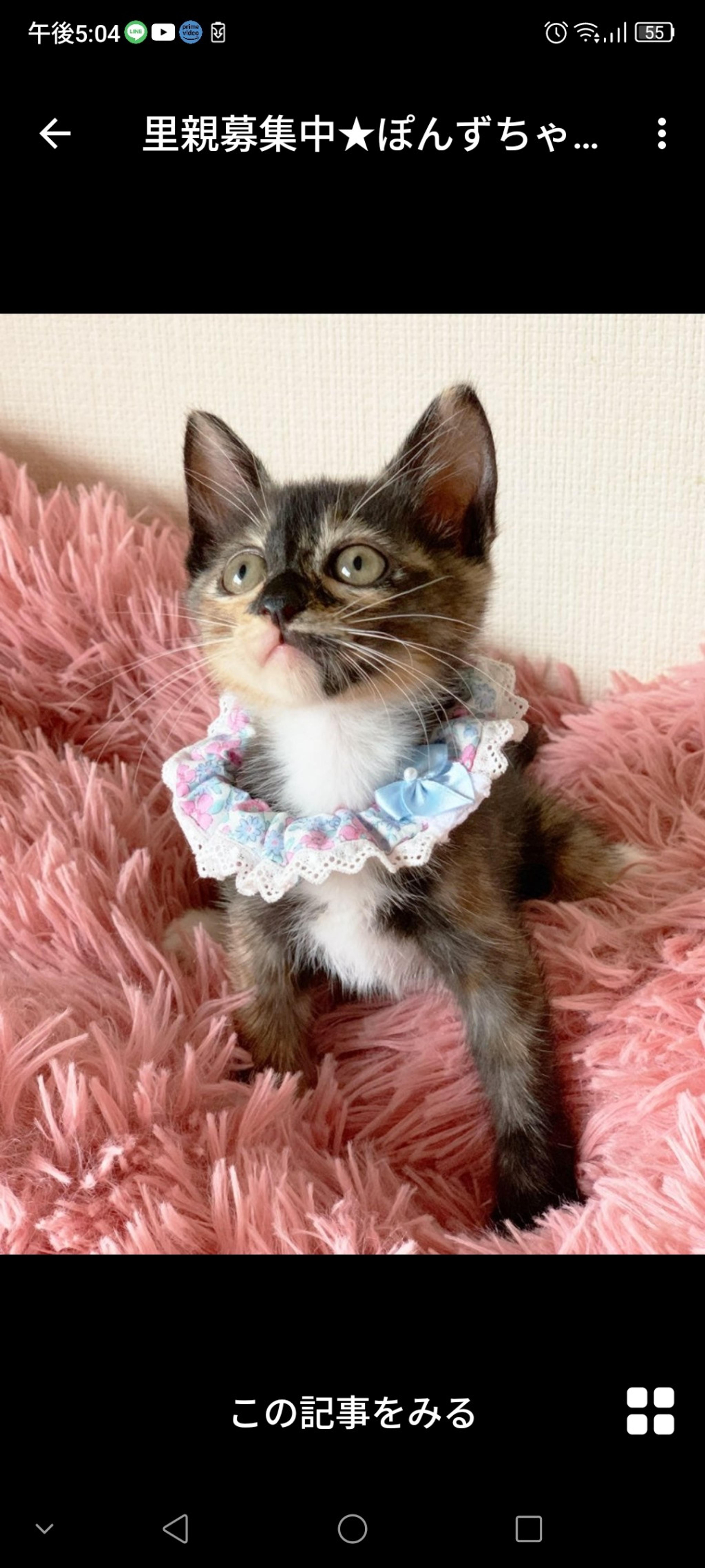 pet-image-3