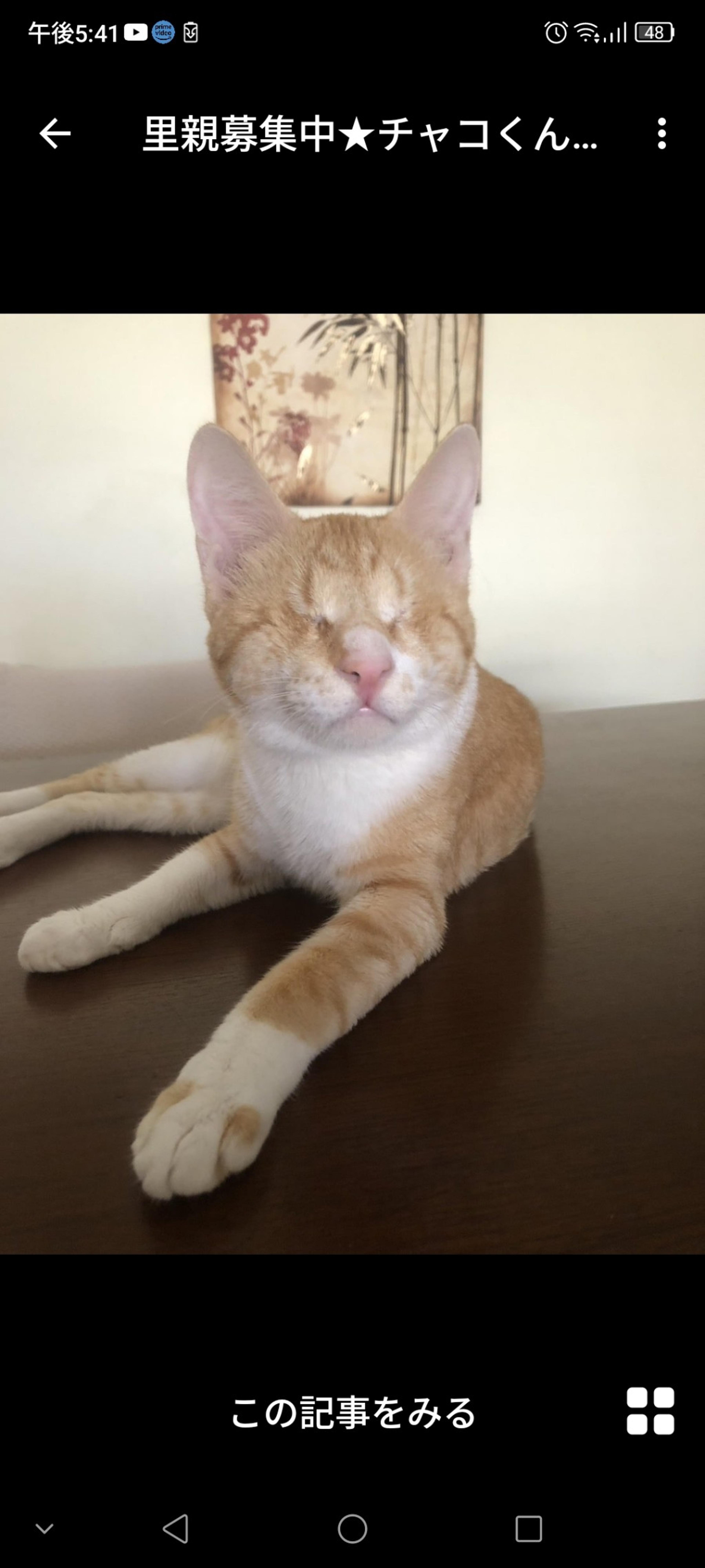 pet-image-3