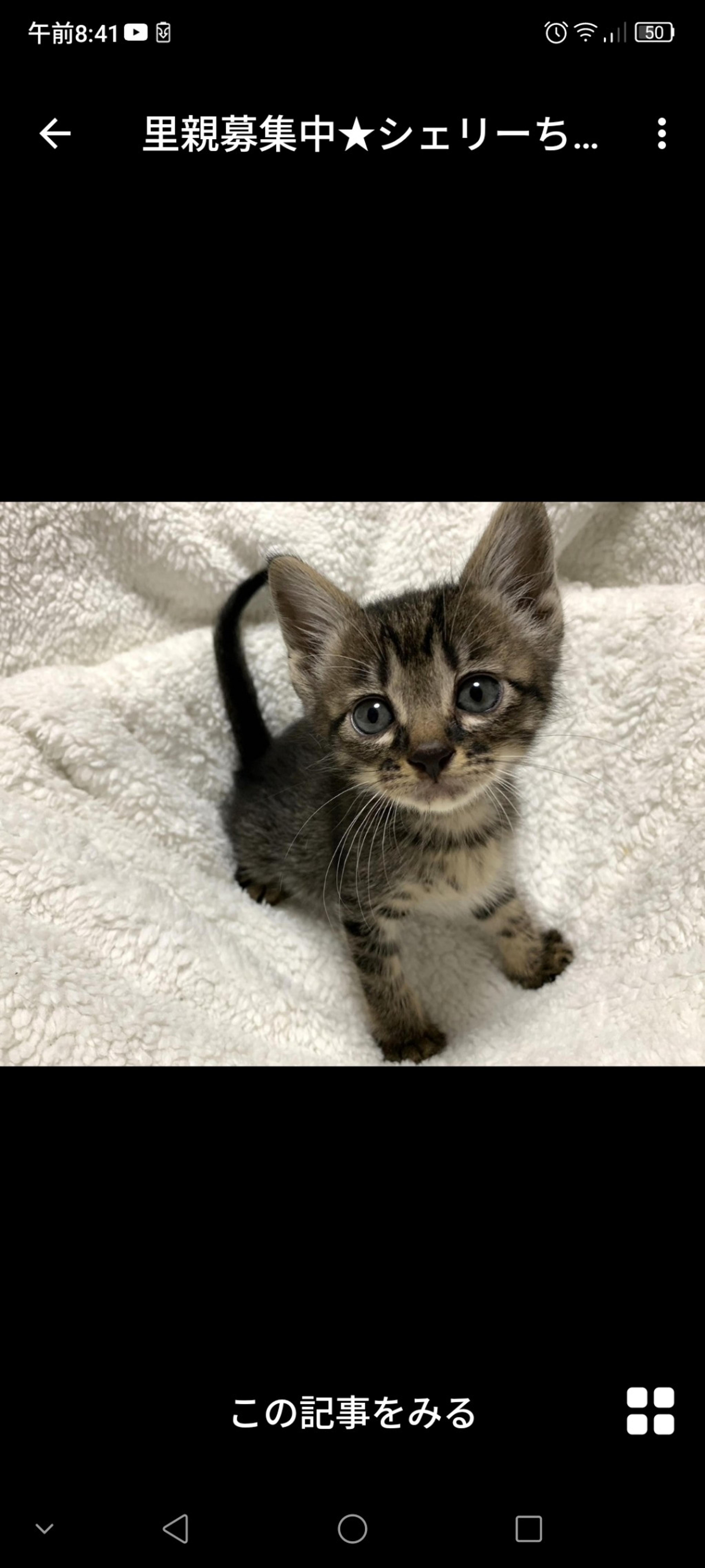 pet-image-2