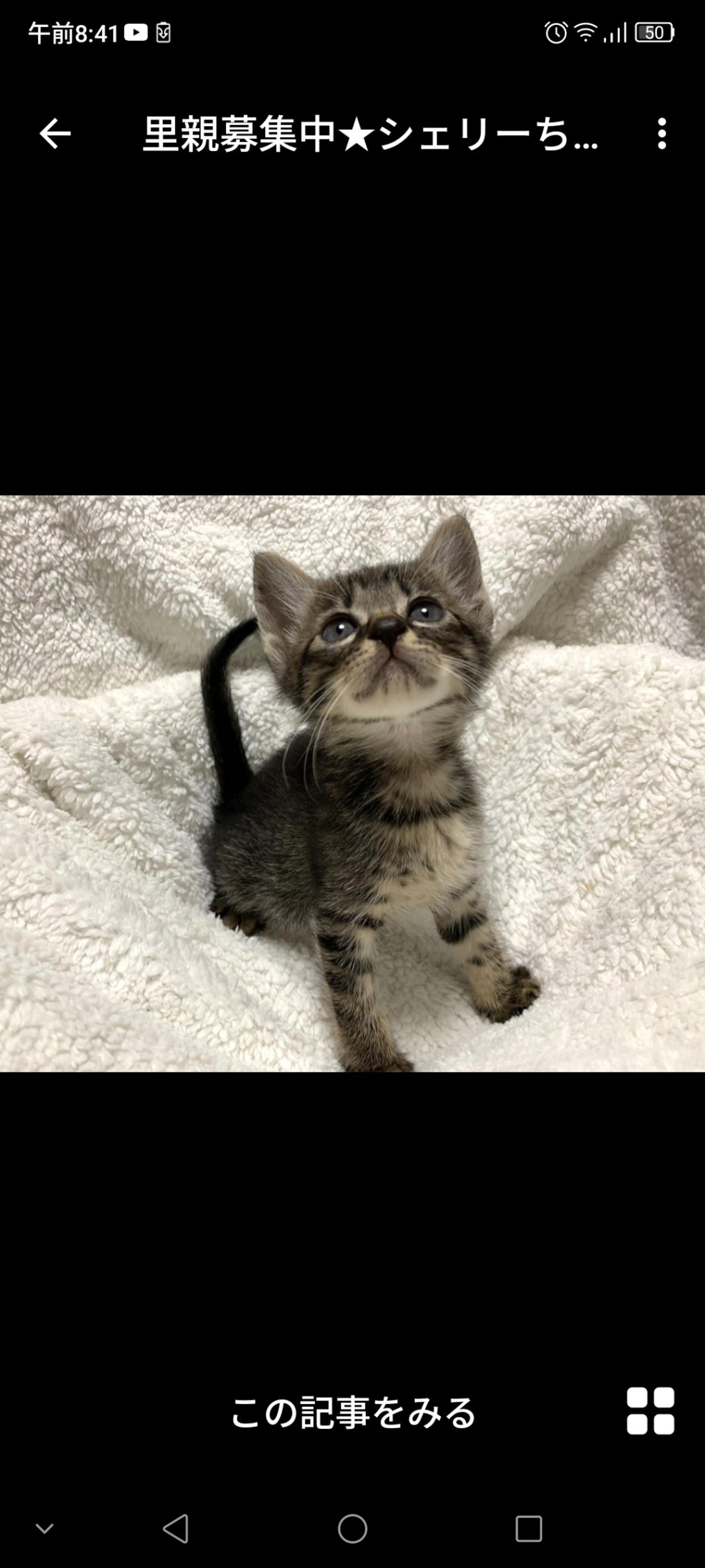 pet-image-3