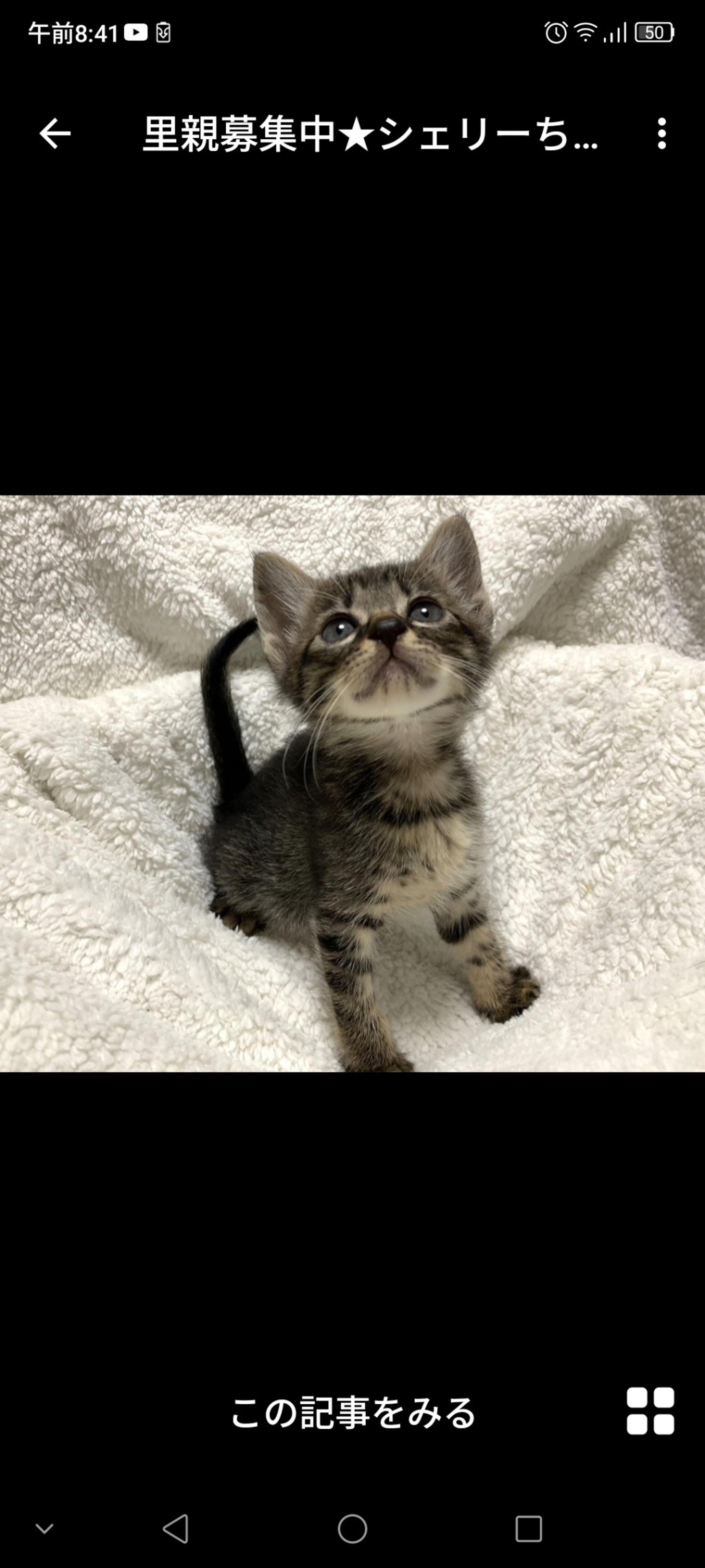 pet-image-3