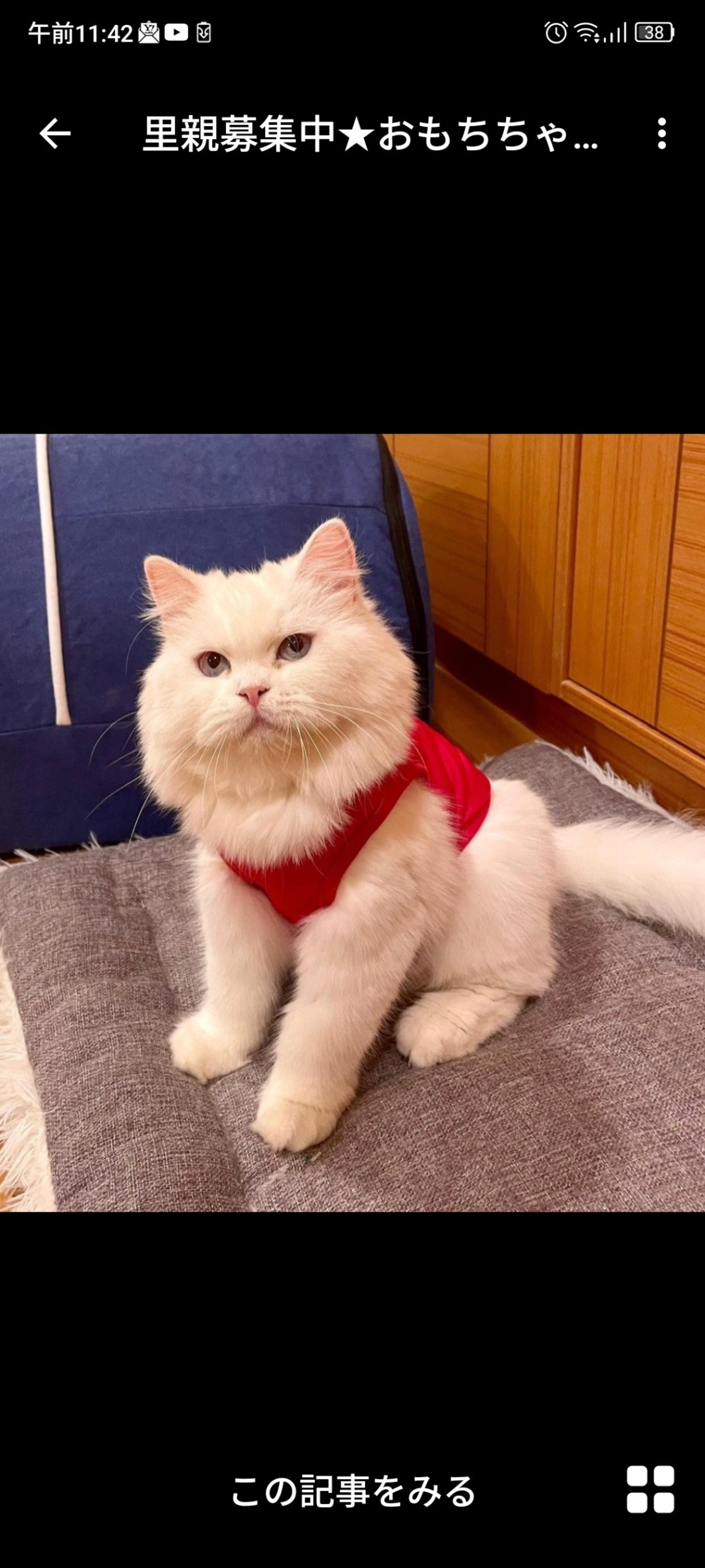 pet-image-4