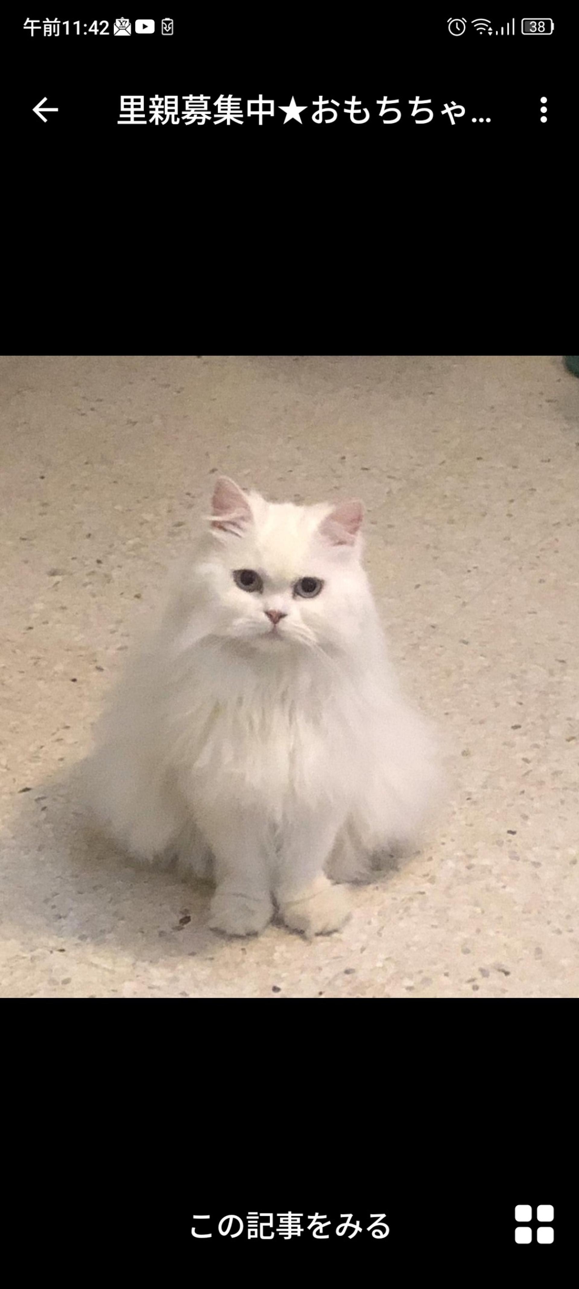 pet-image-2