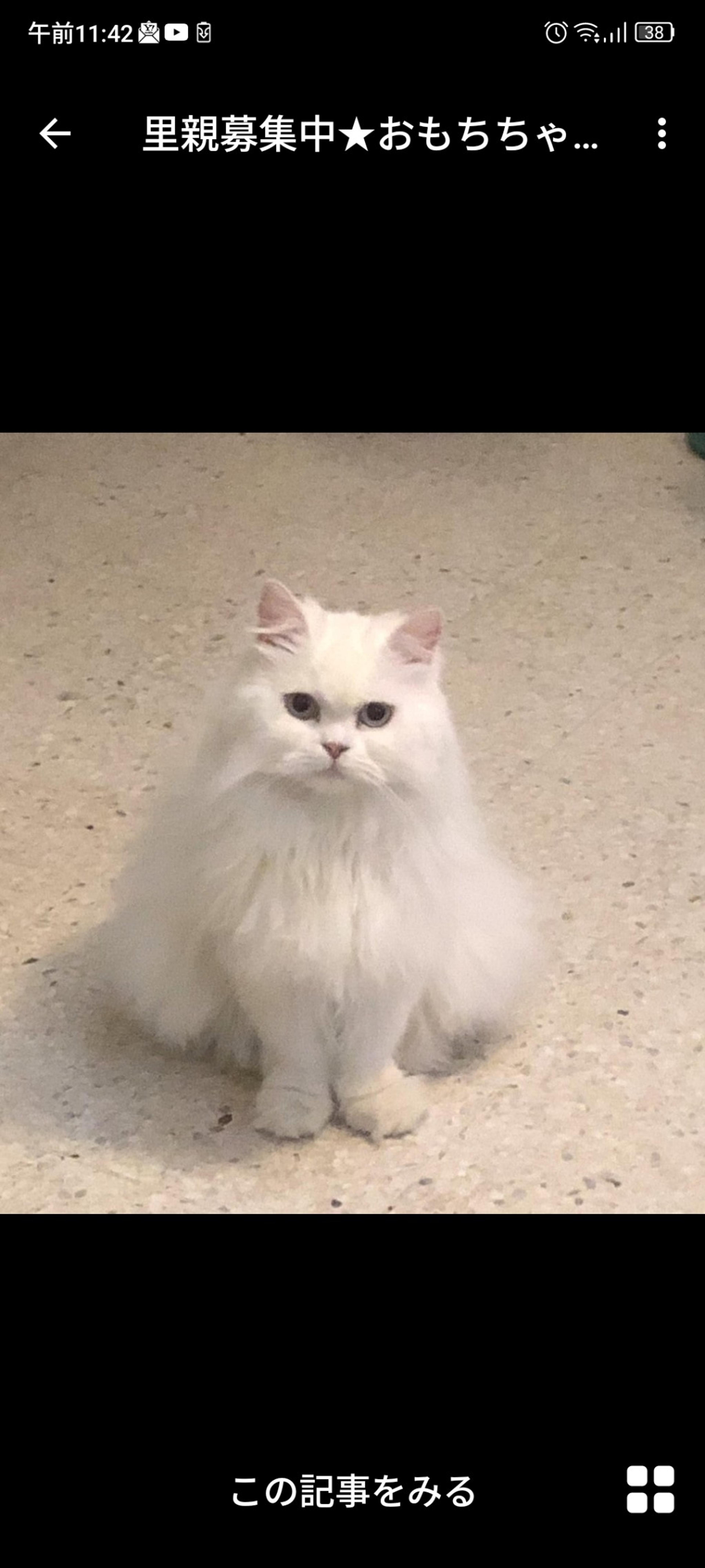 pet-image-2