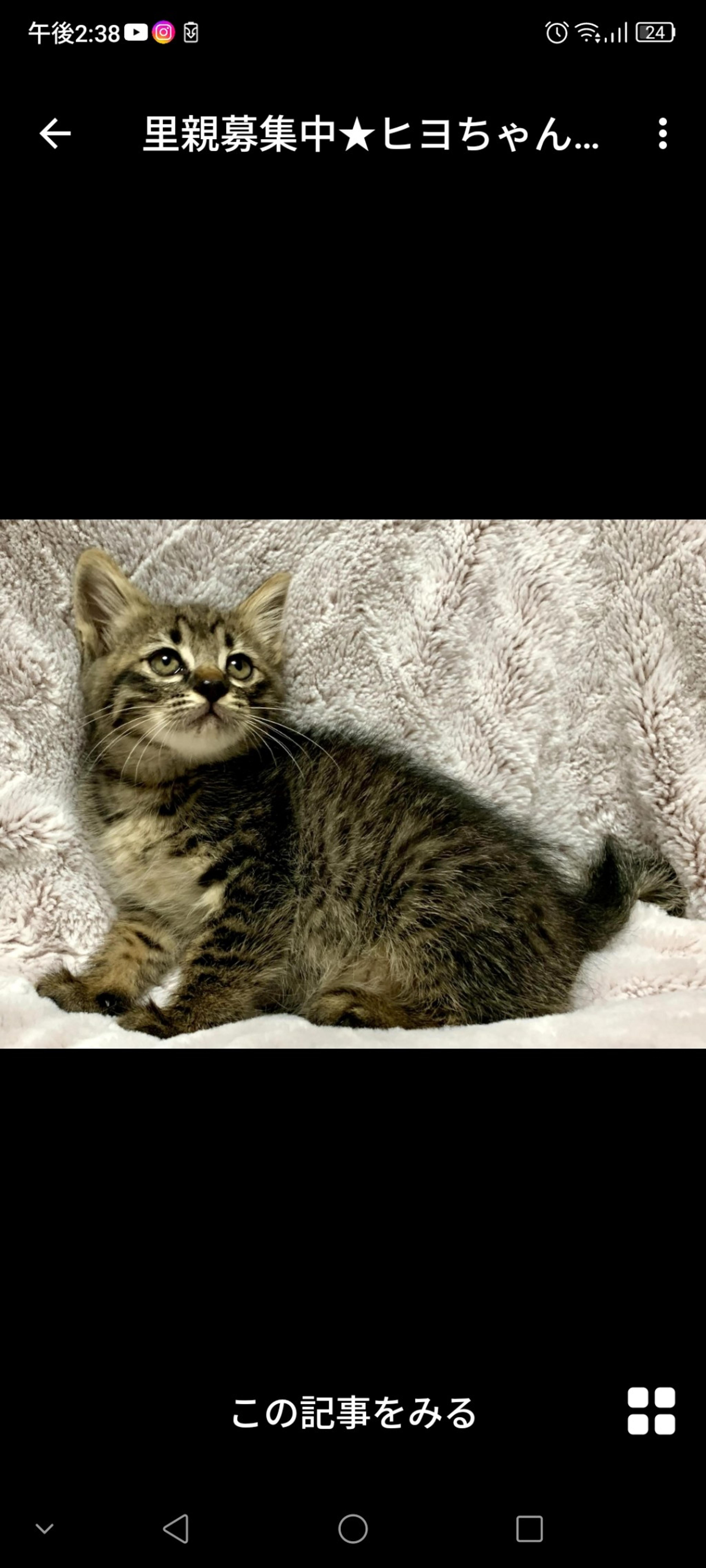 pet-image-2