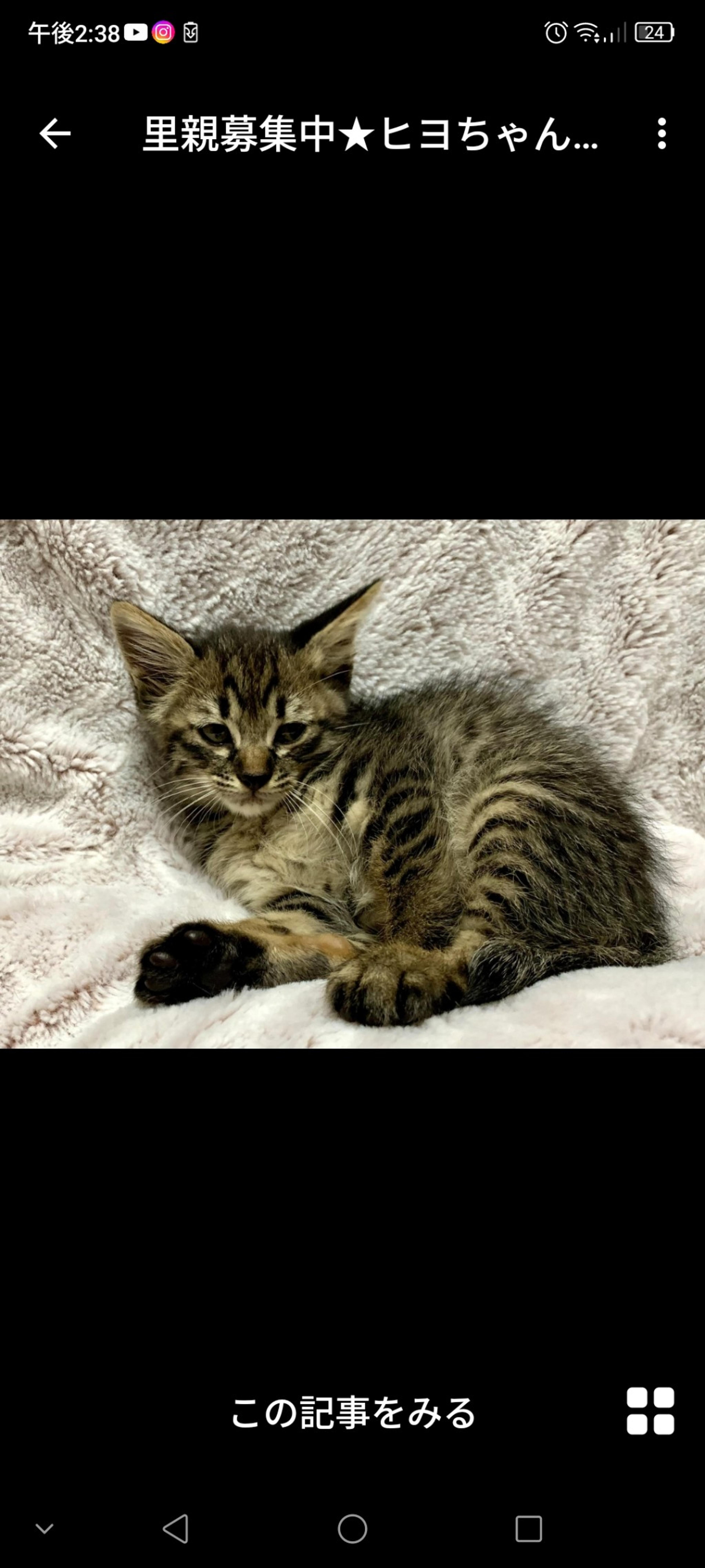 pet-image-3
