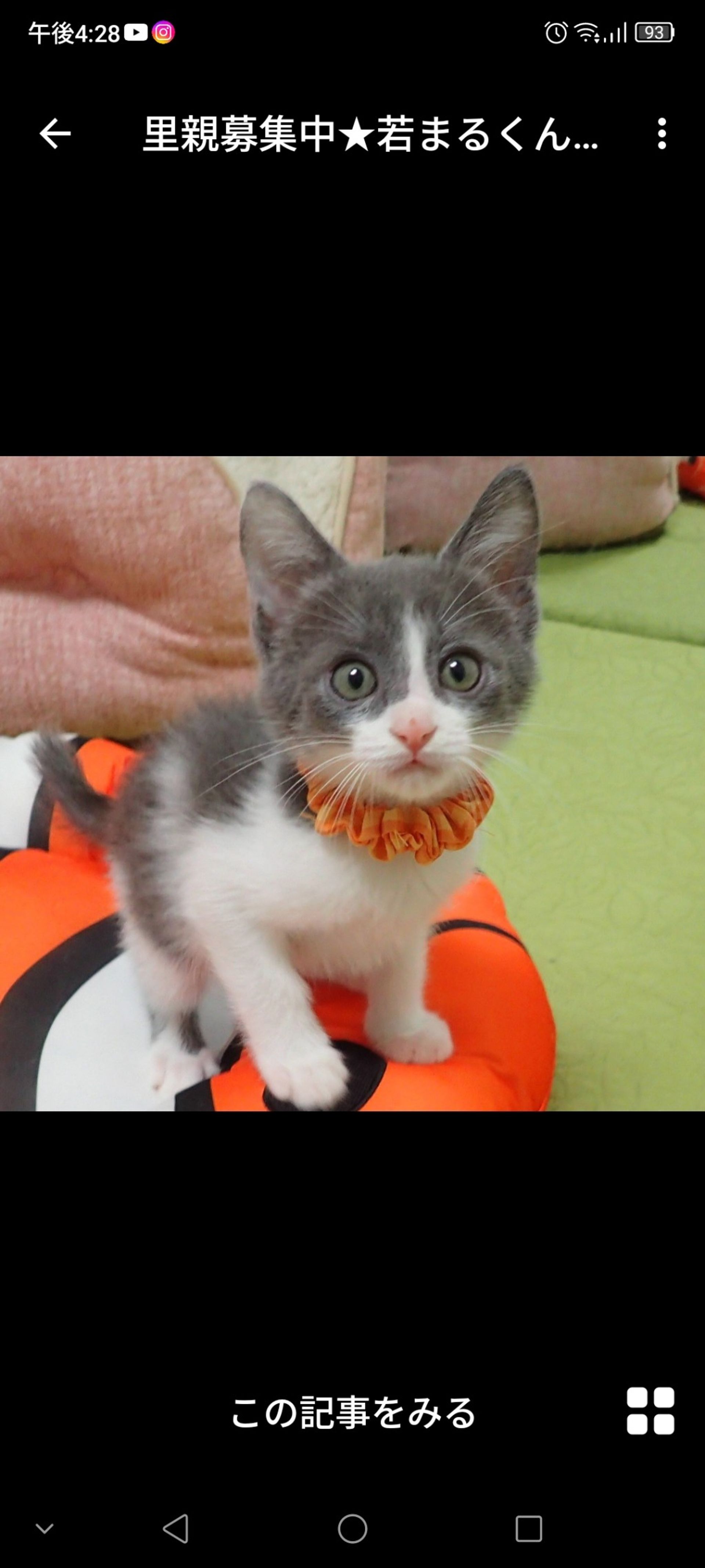 thumbnail-2