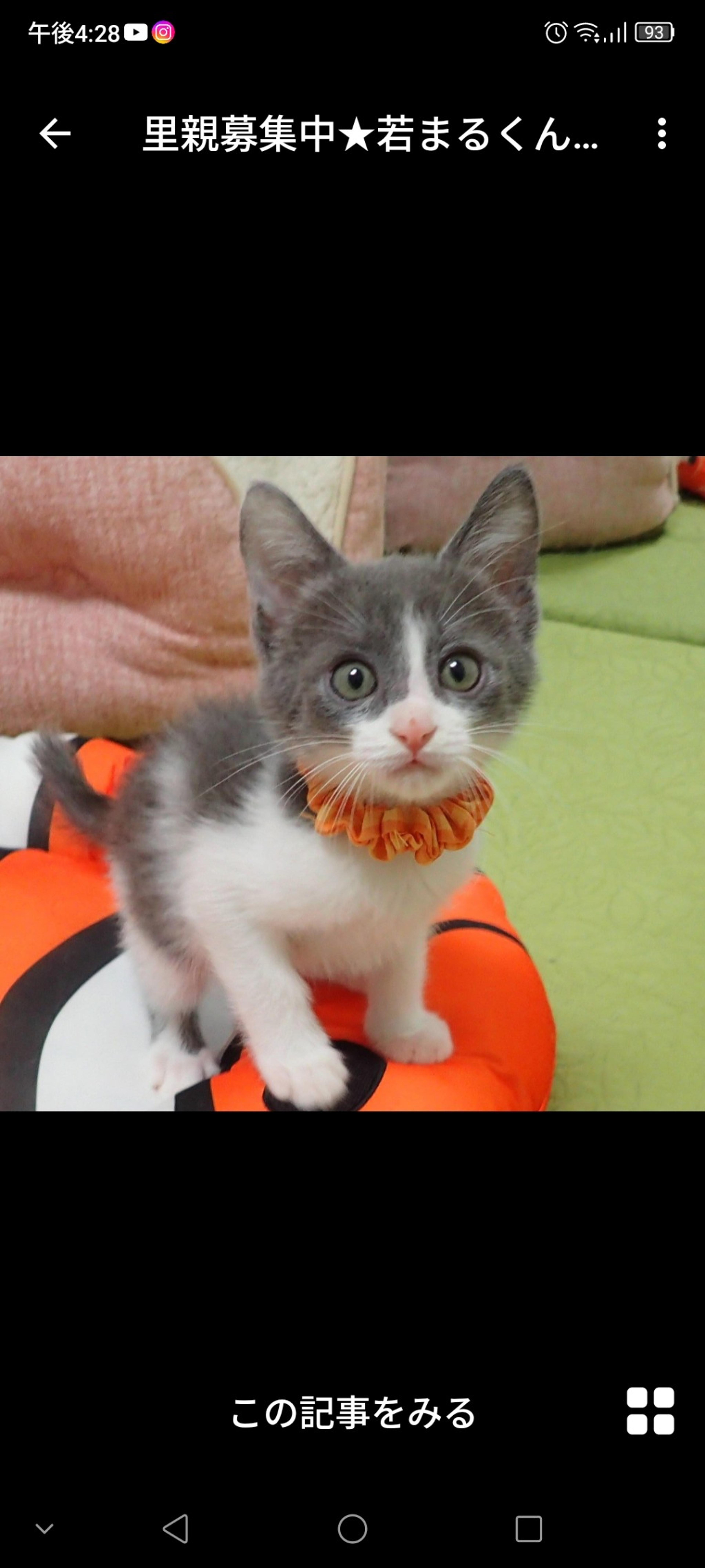 pet-image-2