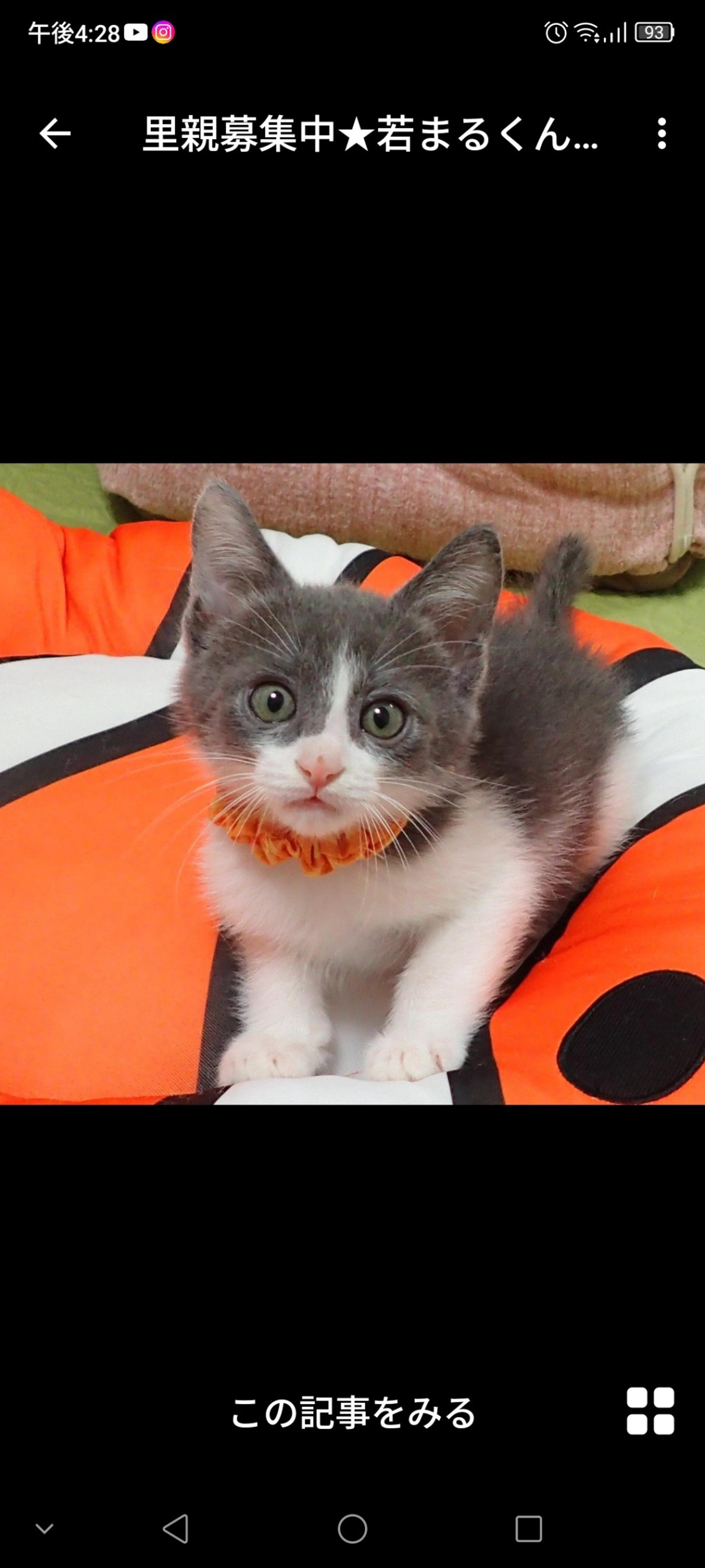 pet-image-3