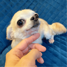 thumb-3