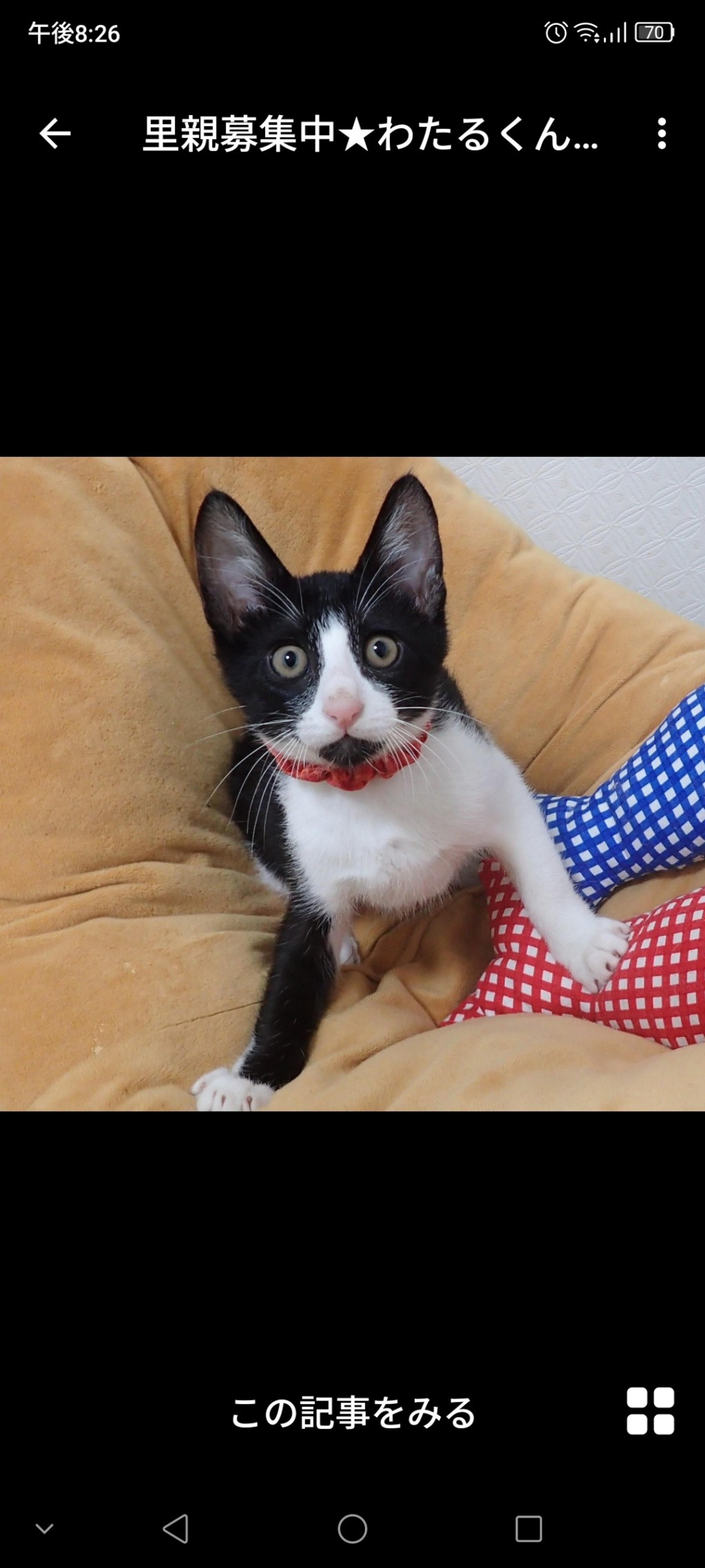 pet-image-3