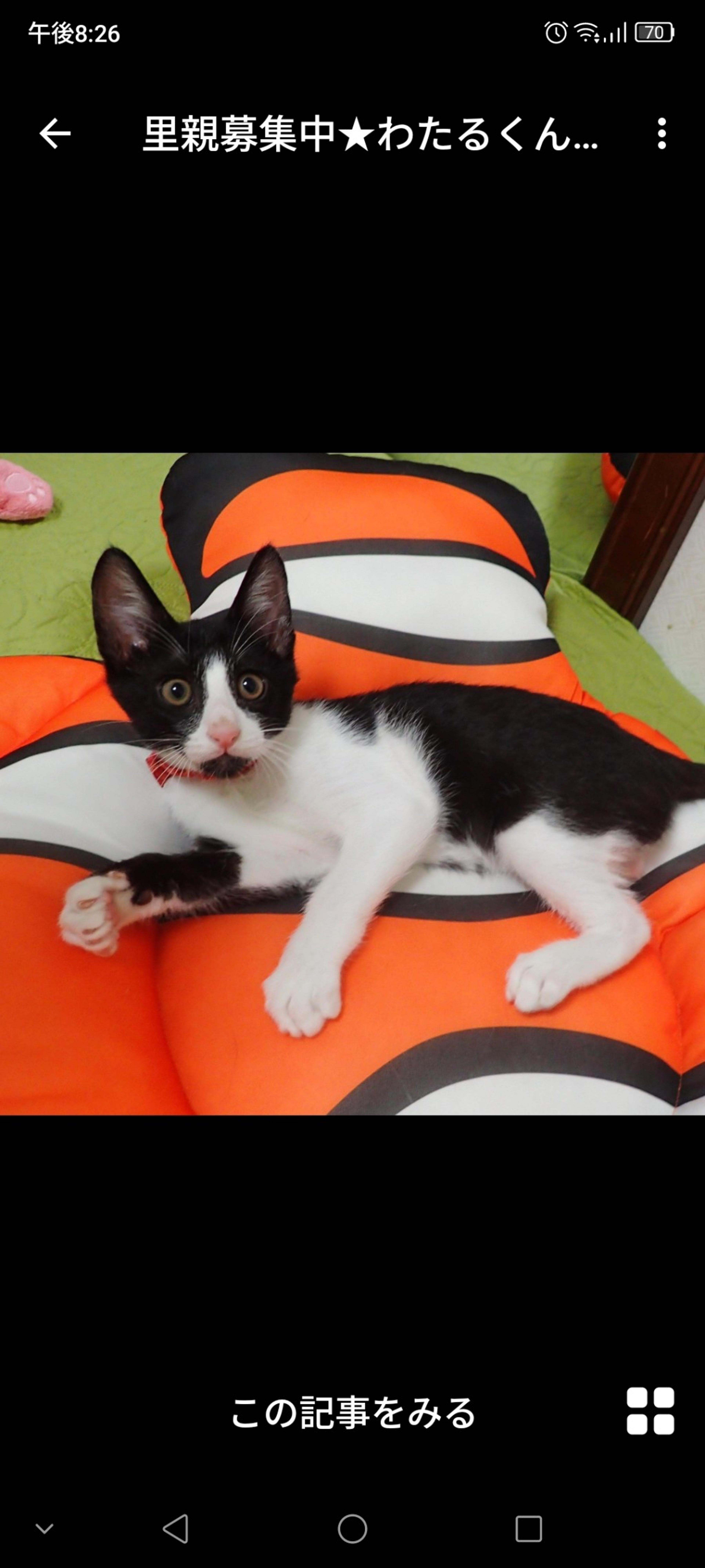 pet-image-2